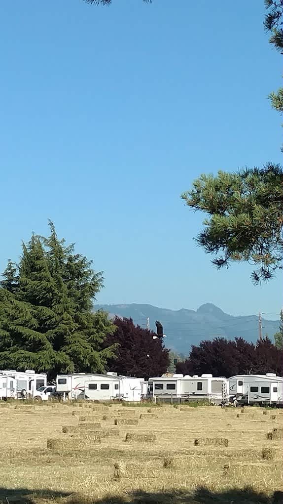 Skagit Valley RV Park