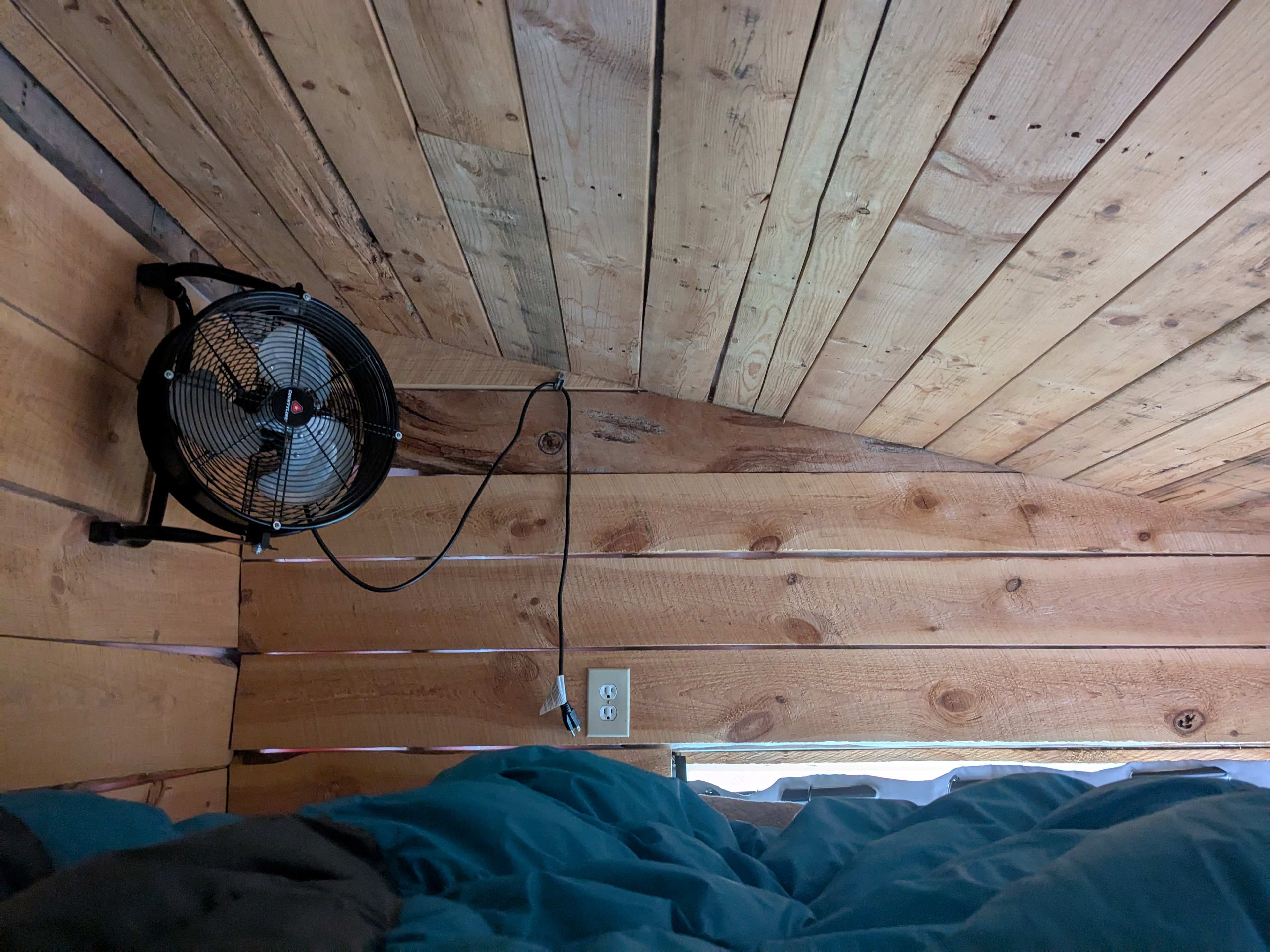 Treehouse loft bed