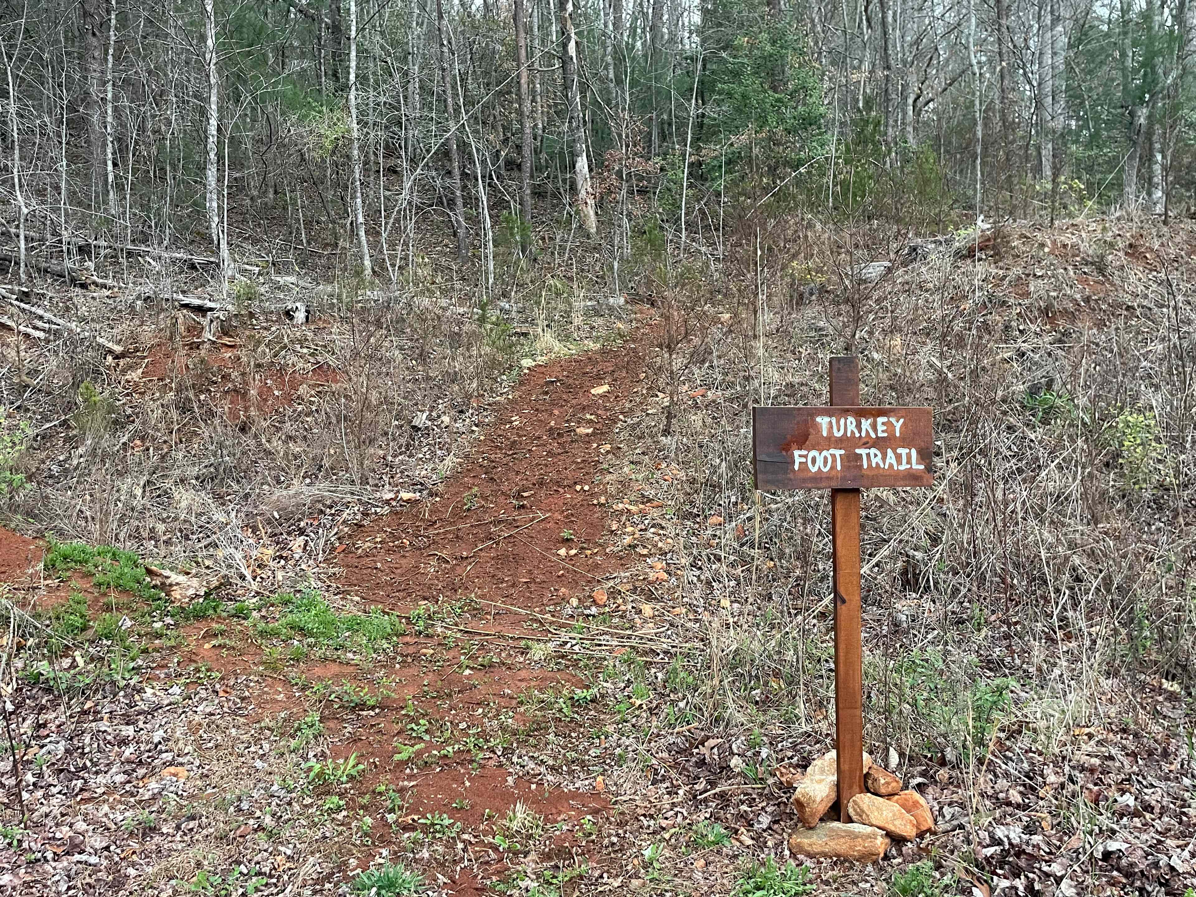 Coweeta Creek Campground