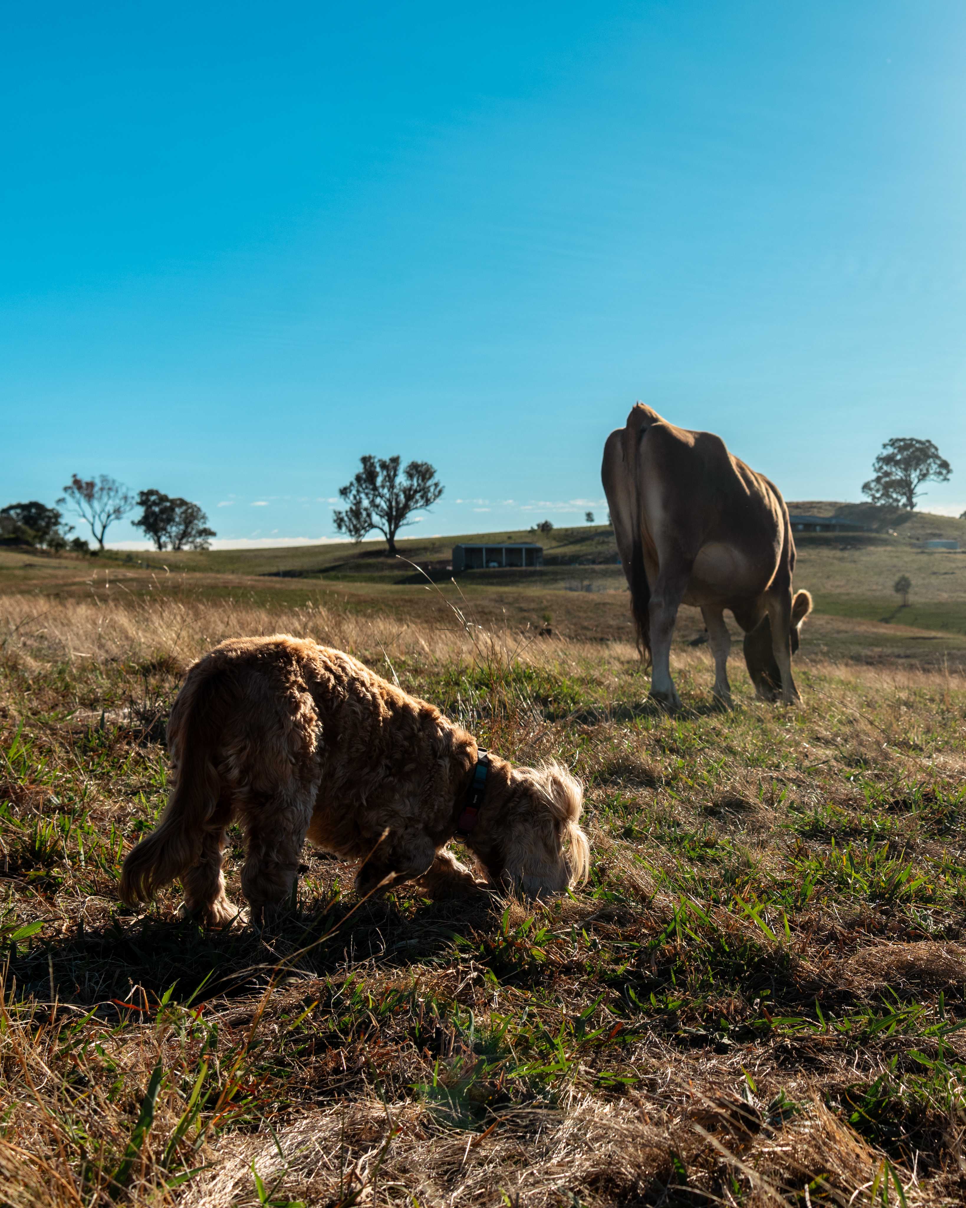 MOUNTAIN VIEW RETREAT