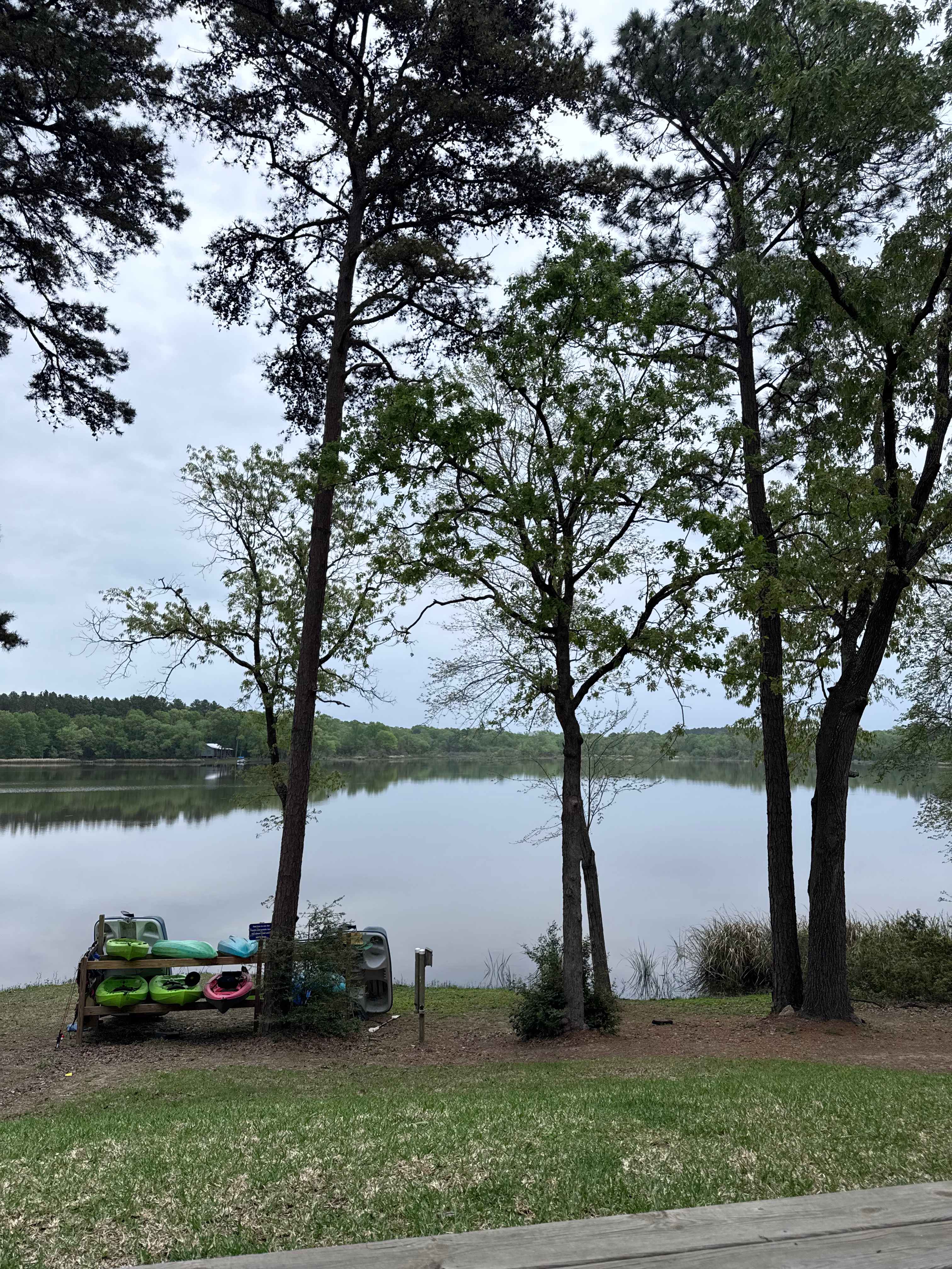 Cabins directly on the Lake