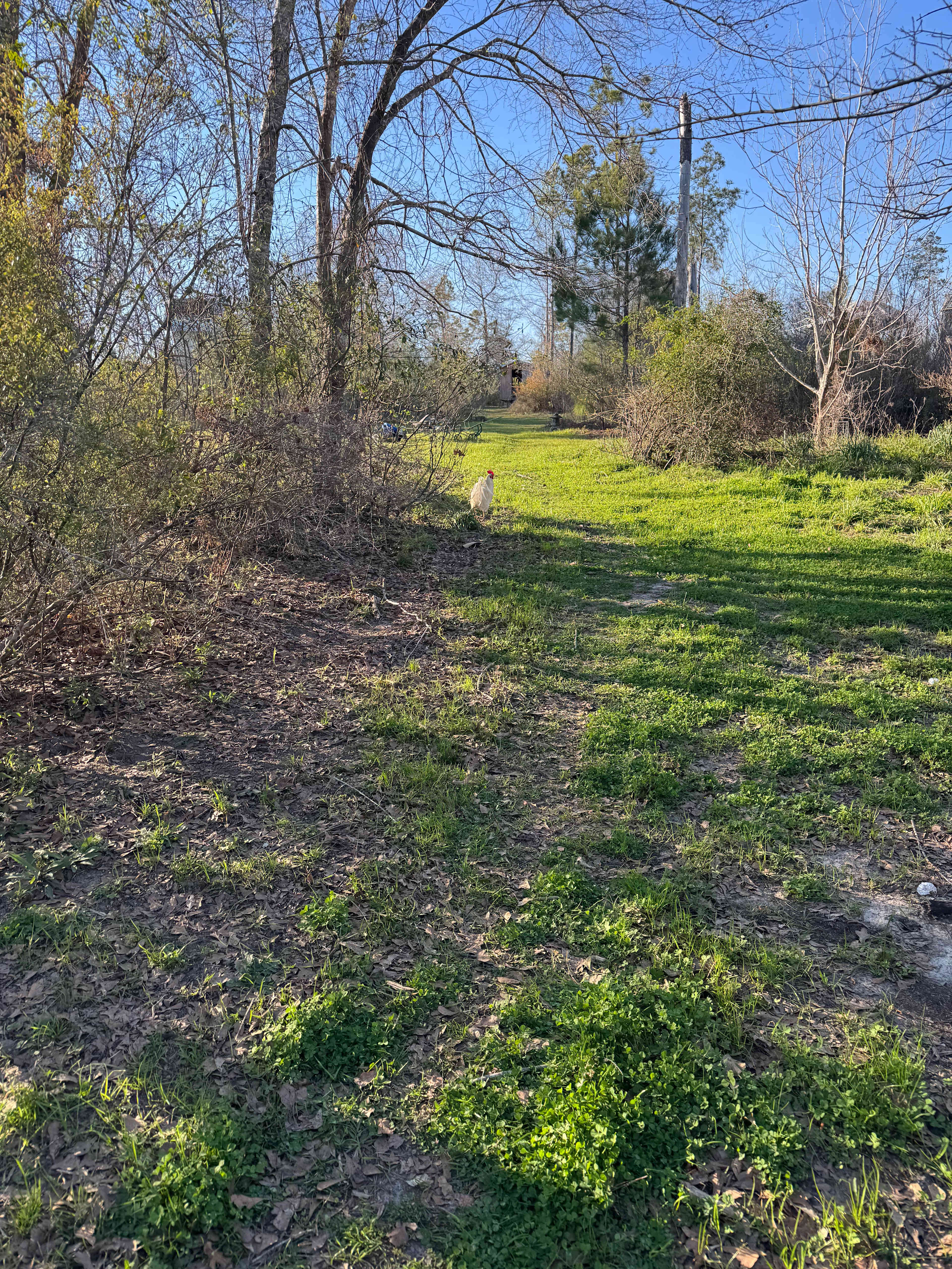 Wildcat Creek Educational Ctr