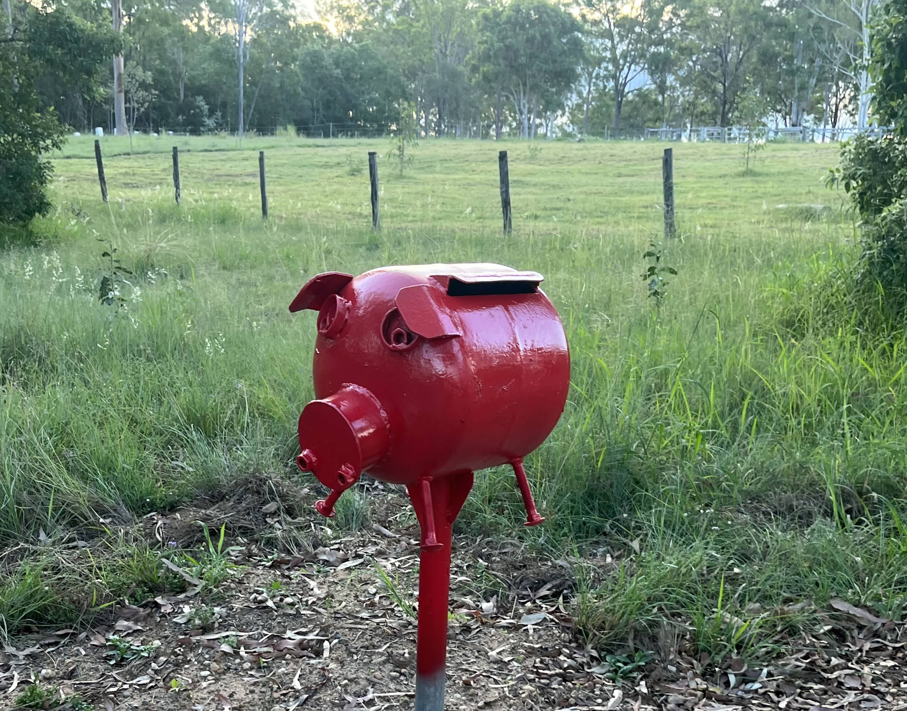The only pig on the farm.