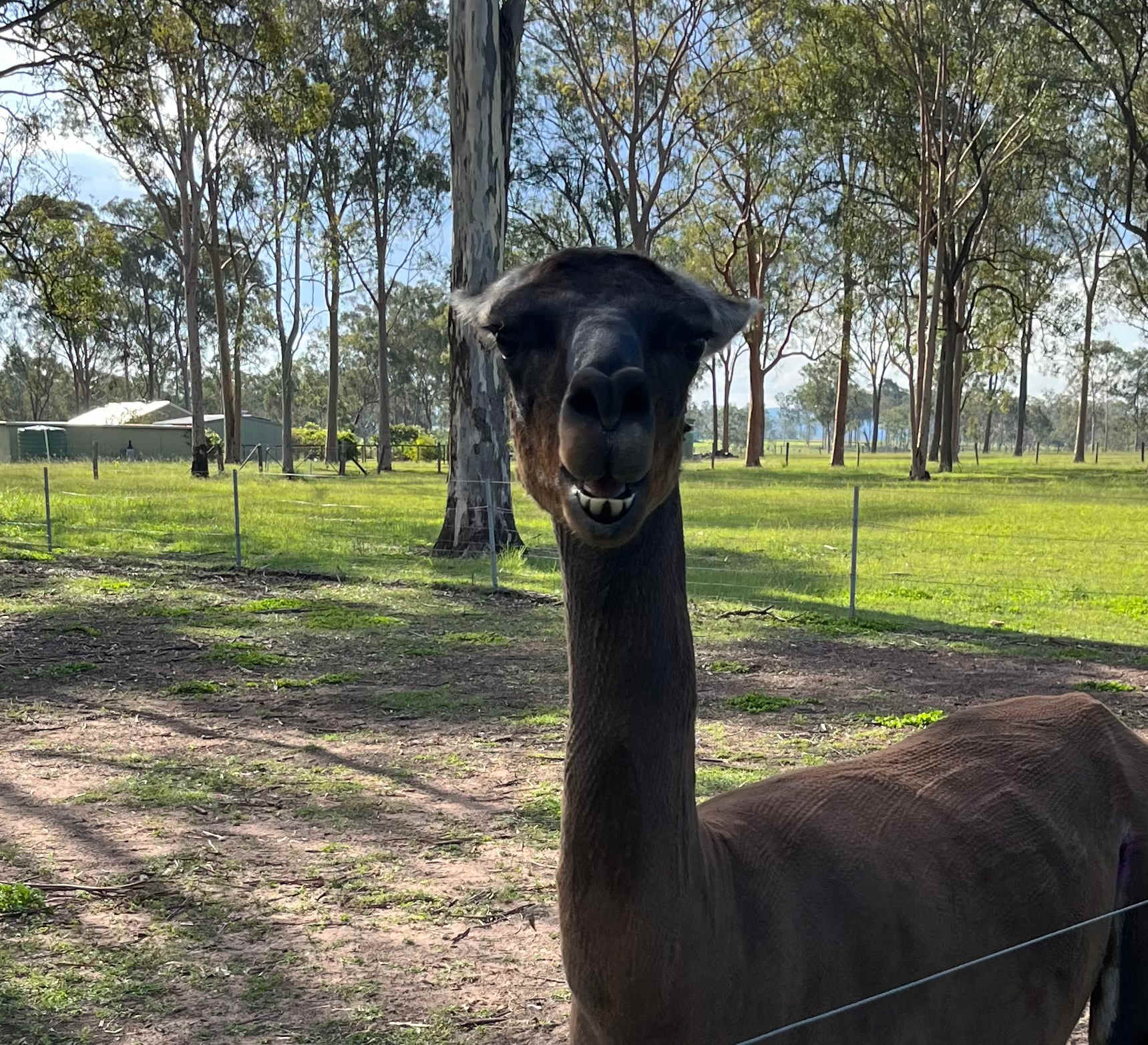 Kevin says "good morning".