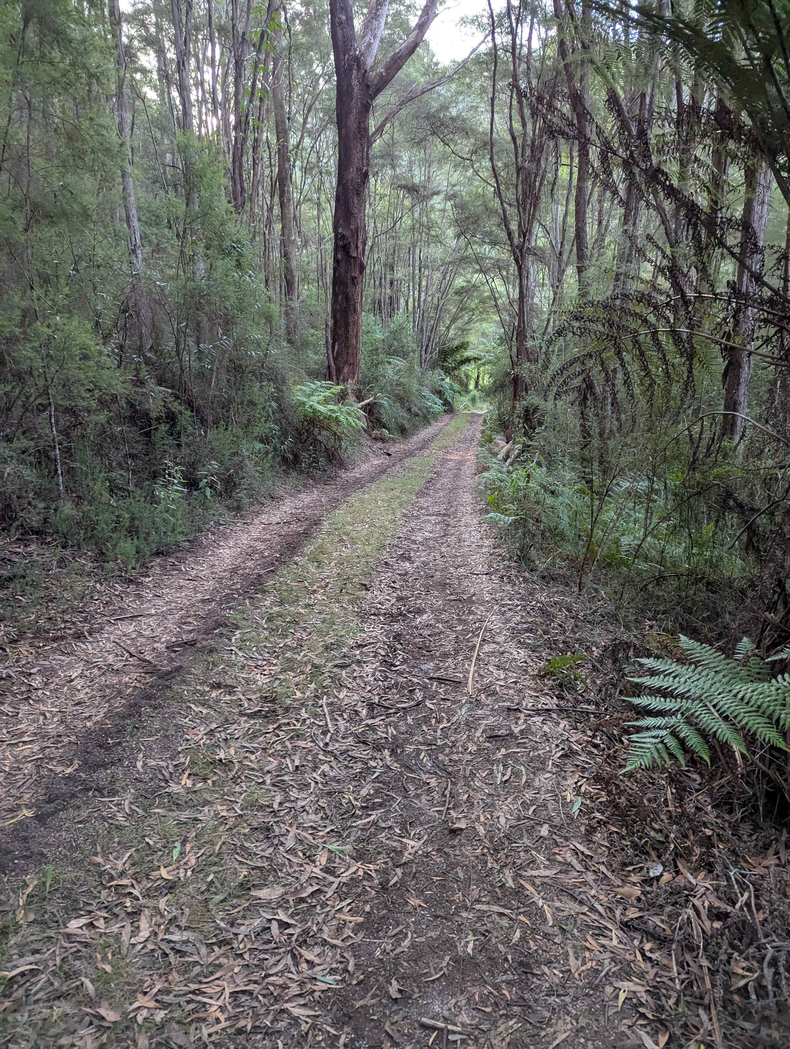 Organic Farm & Riverside Camping