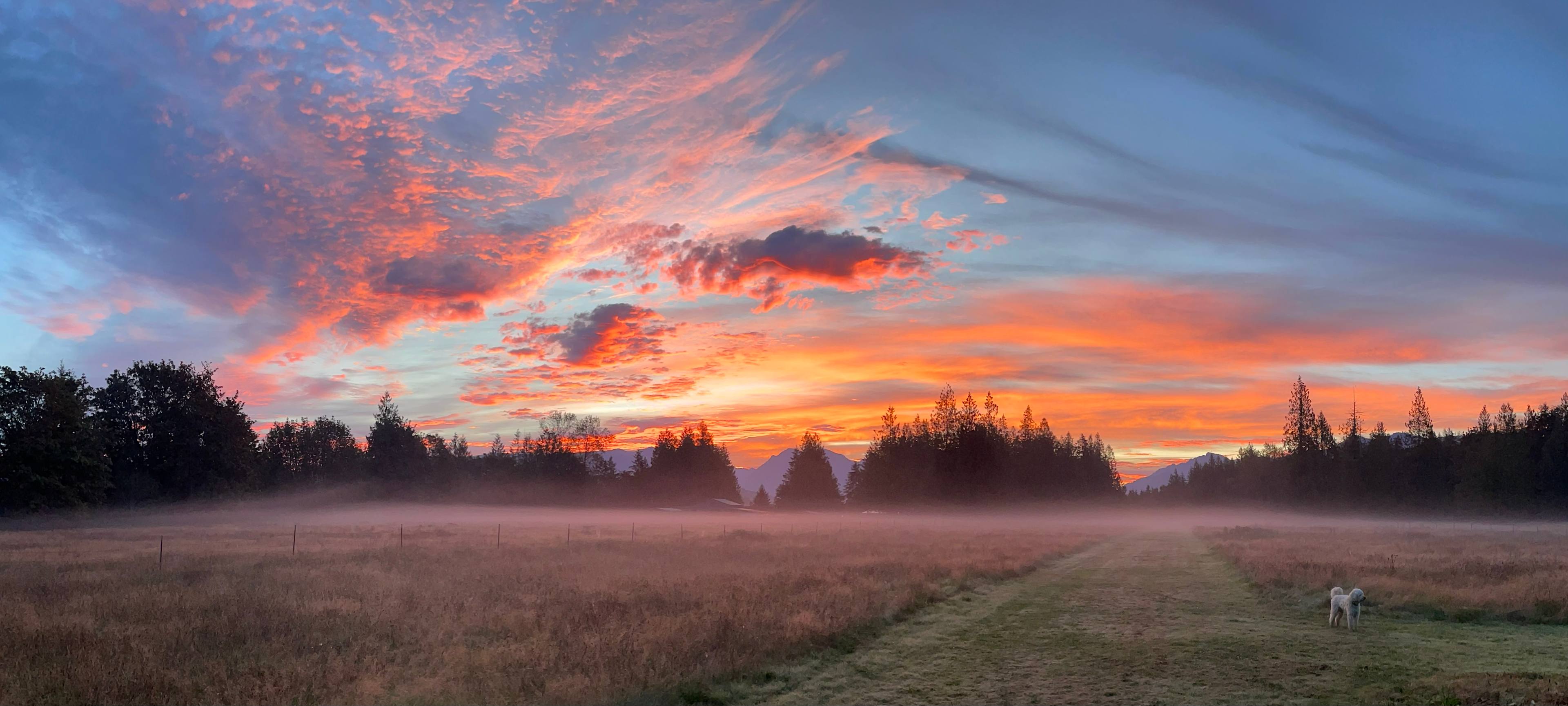 The PNW Landing (Monroe)