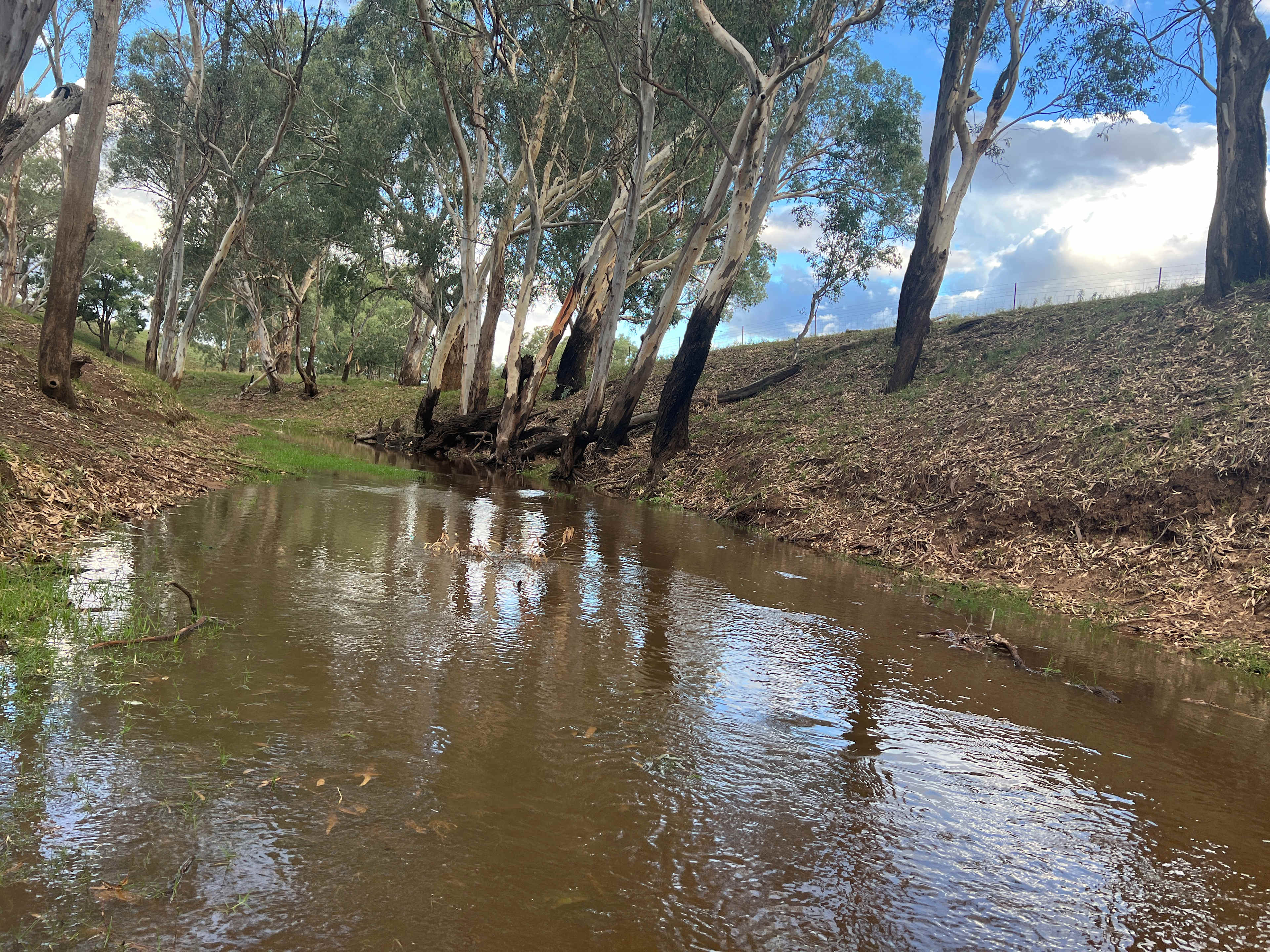 Stunningly quiet with nothing but wilderness. 