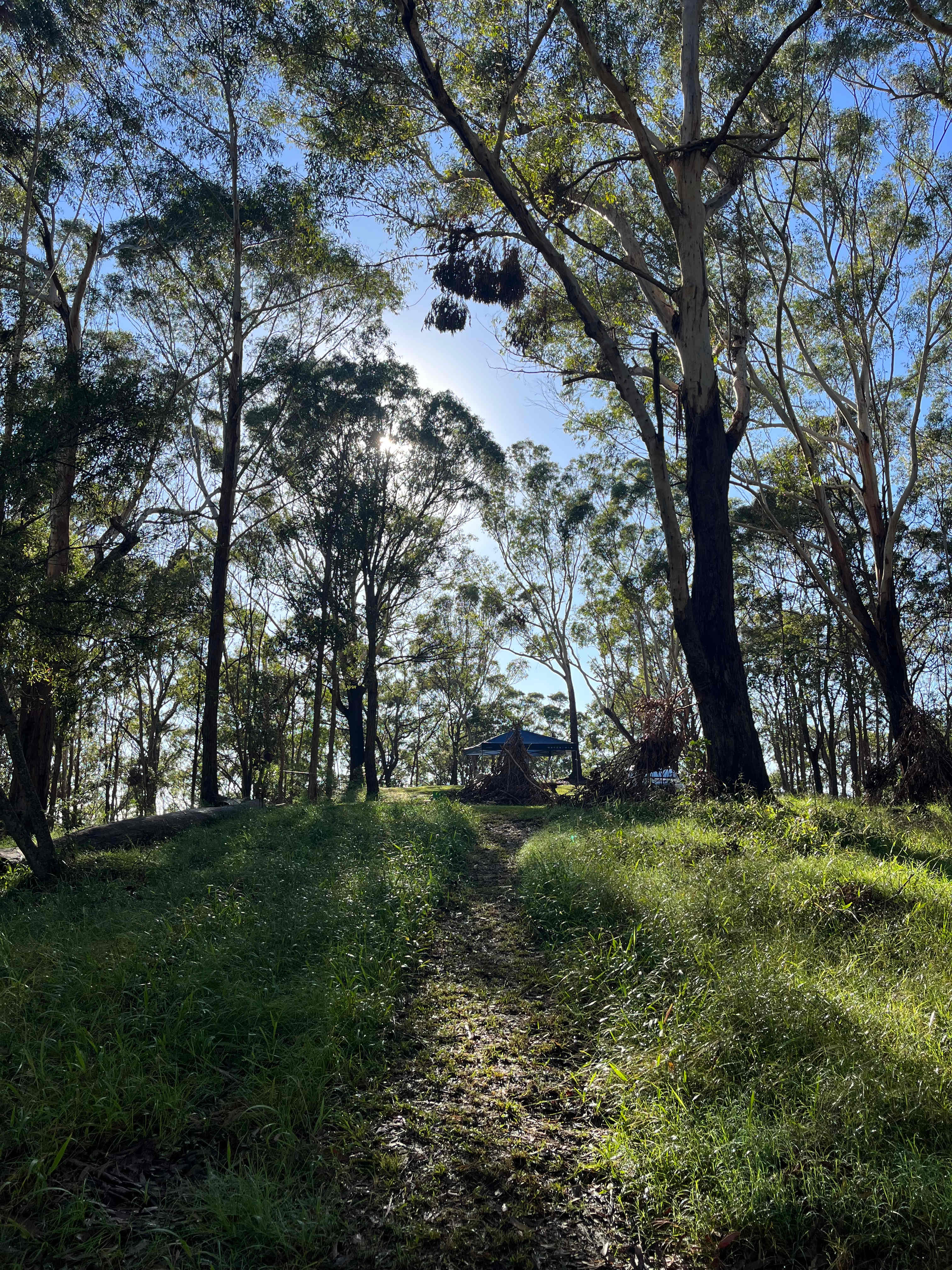 Cabarita Beach Station