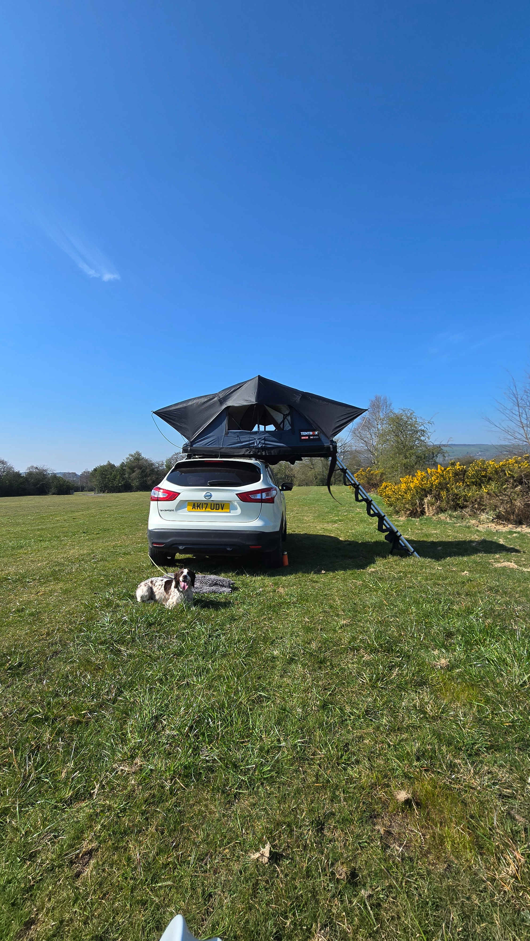 Camping at The Hollies
