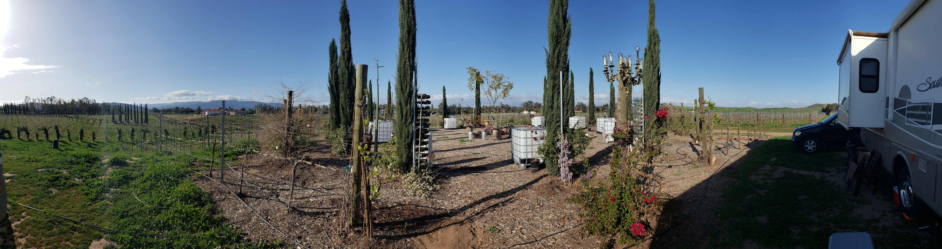 Dos Fernandos' Hideaway RV vineyard