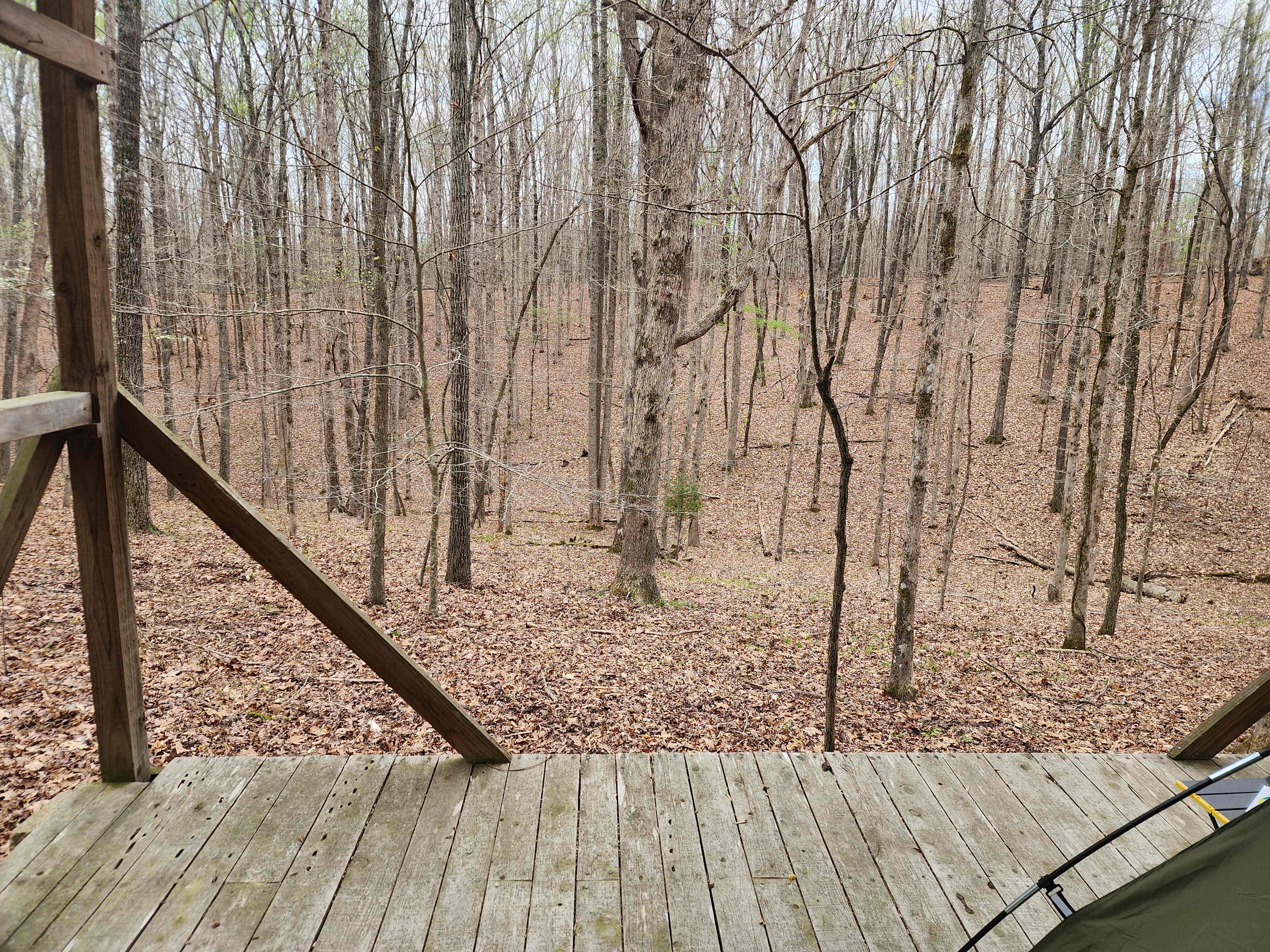 Hoot Owl Hollow Campground