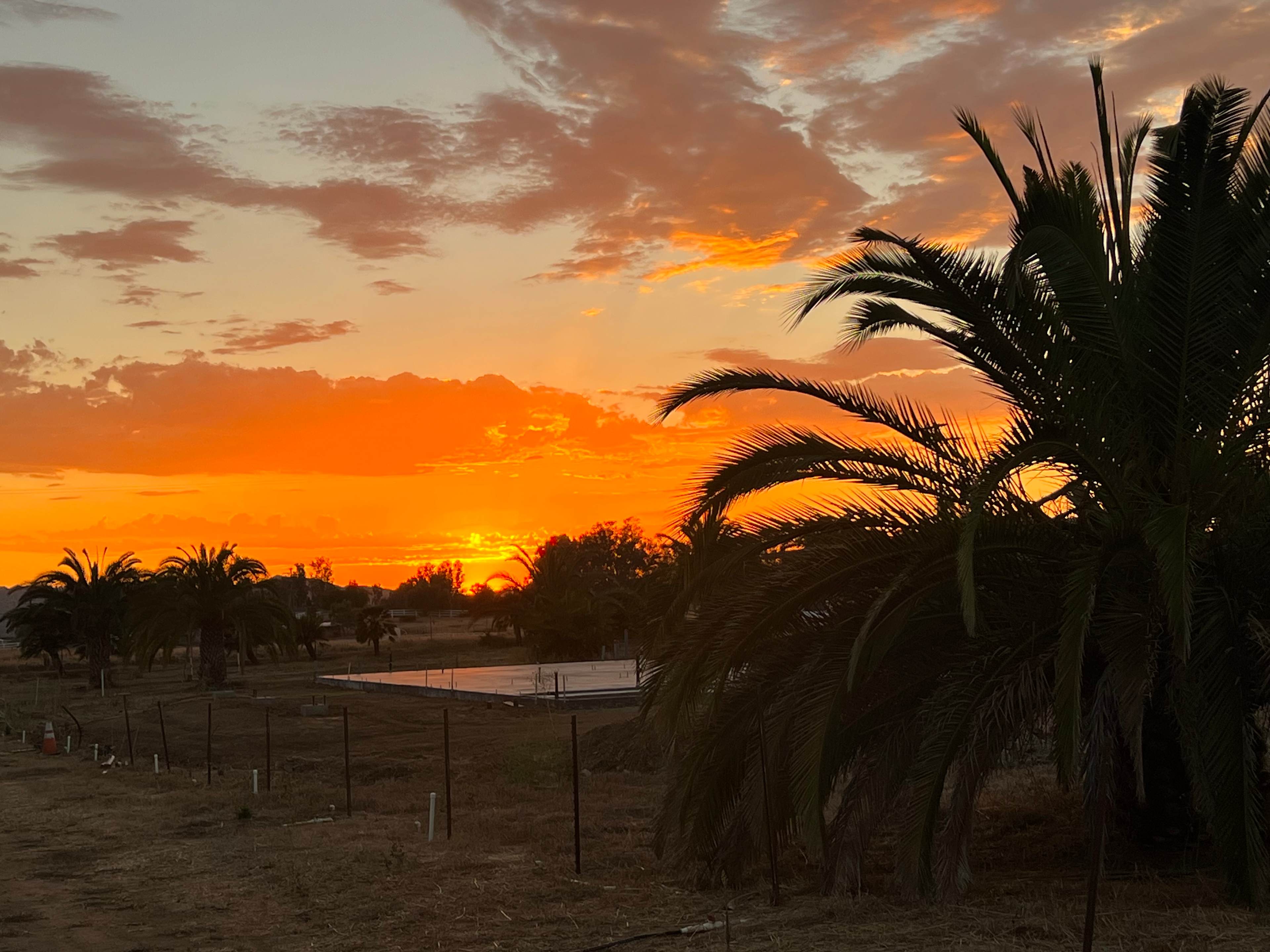 Thompson Palms Campground