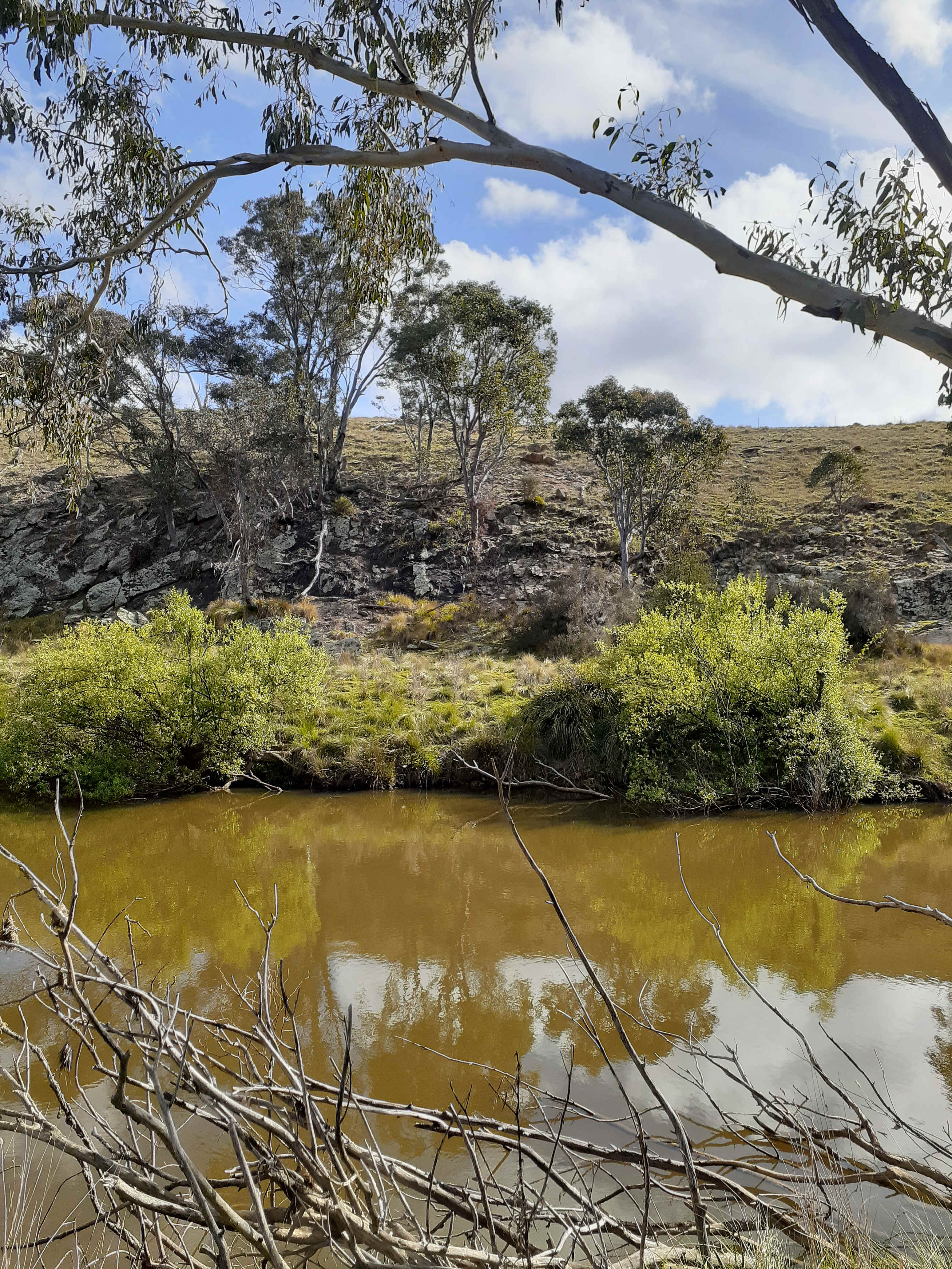 Yass River seclusion