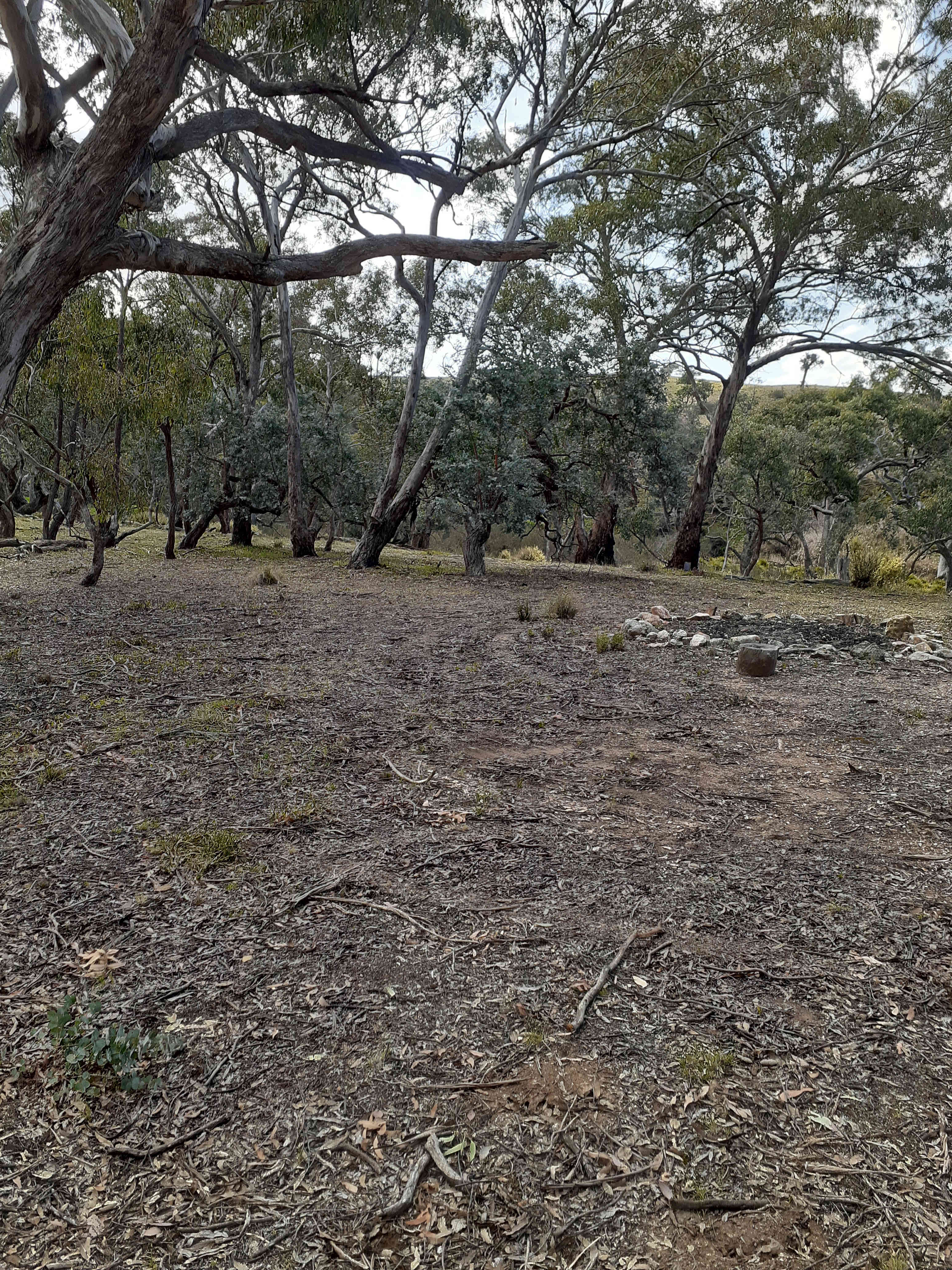 Yass River seclusion