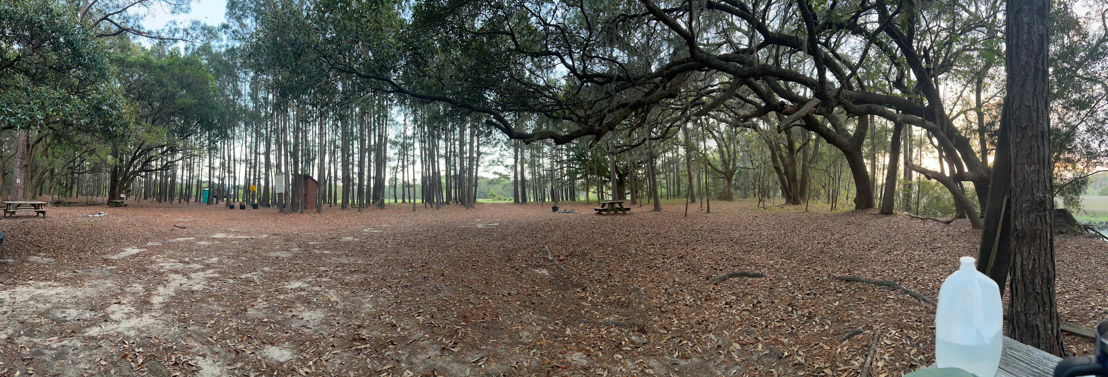 Hanscombe Point Plantation