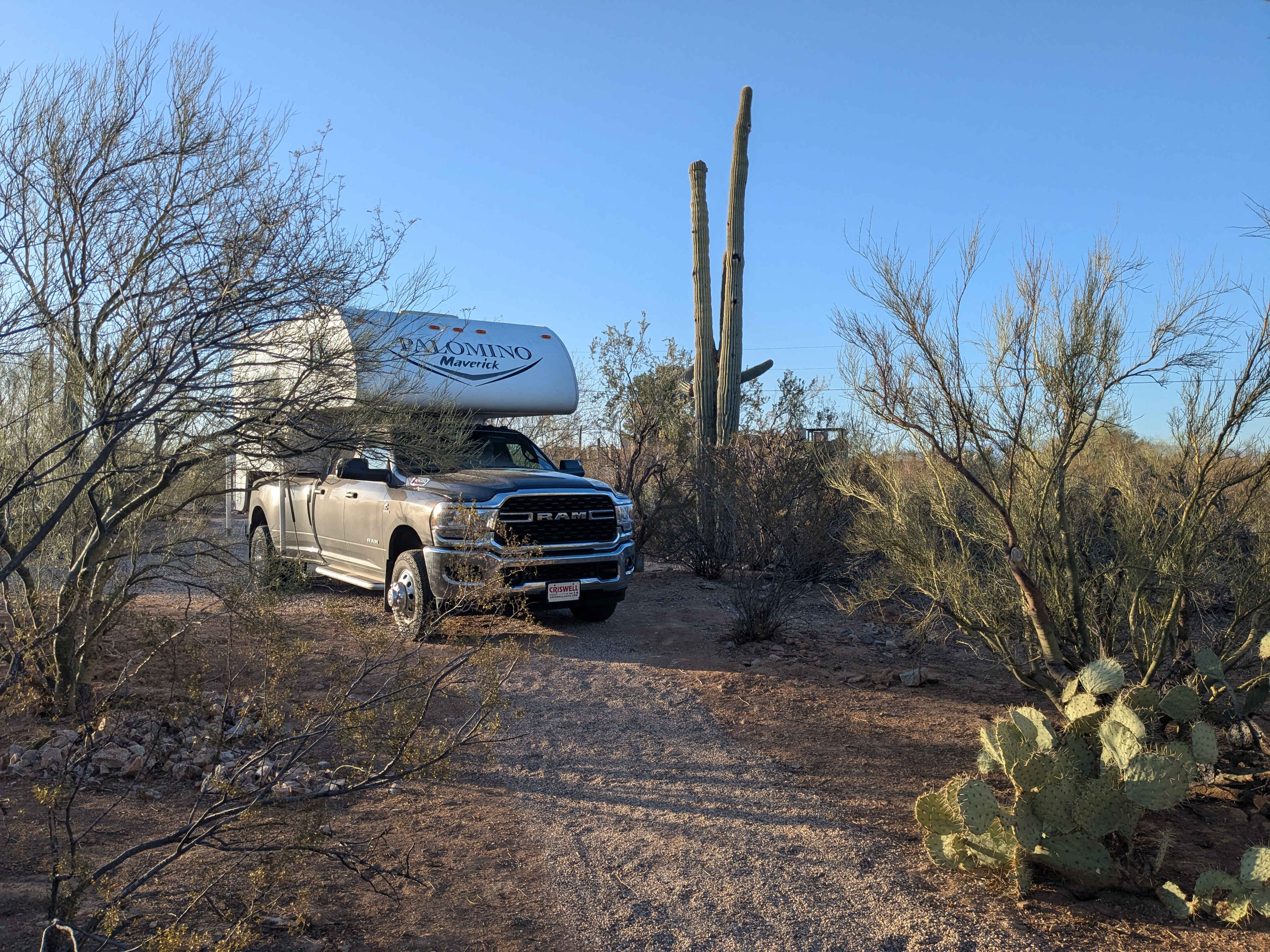 Camp Saguaro