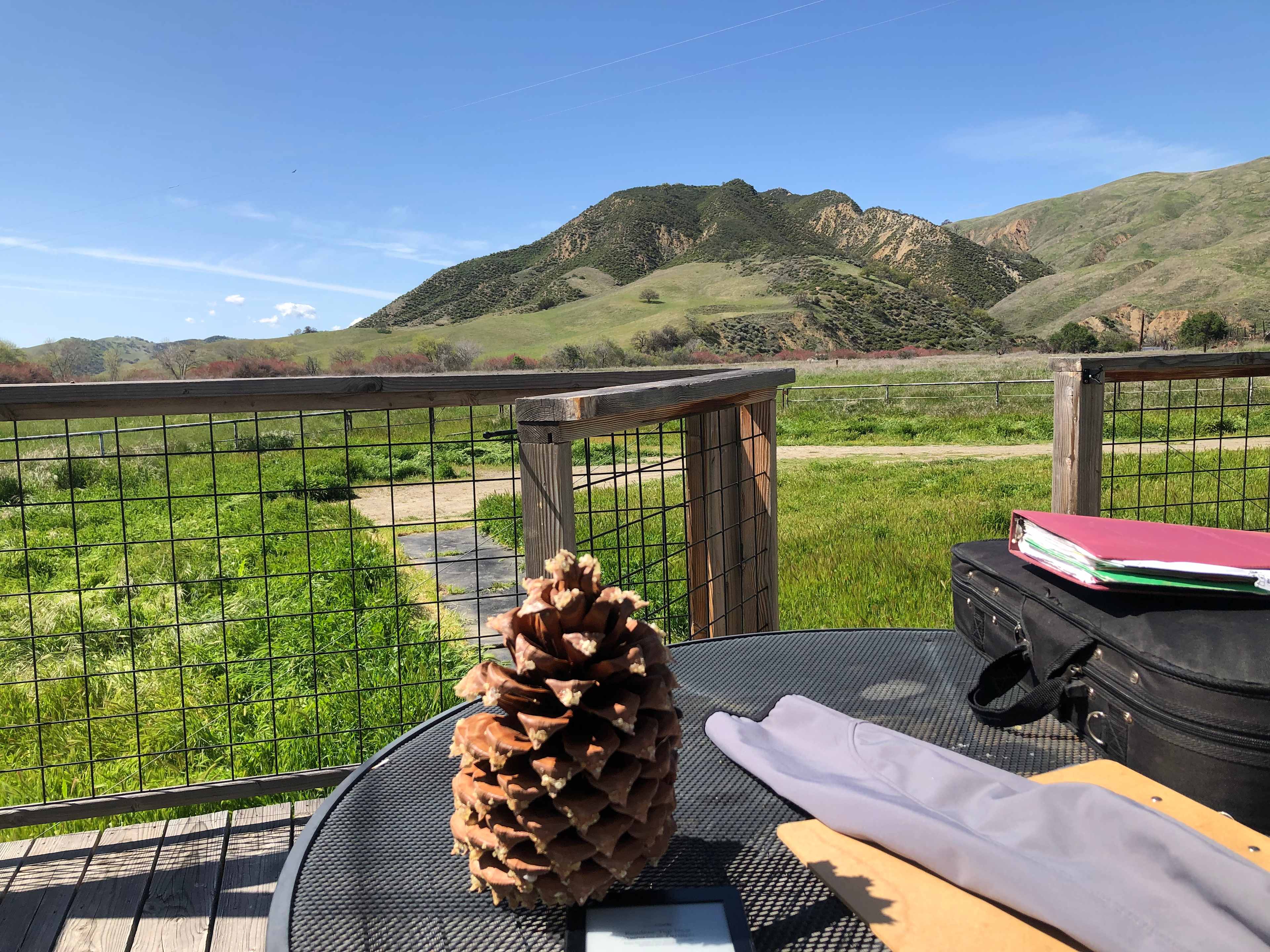 View from the RV