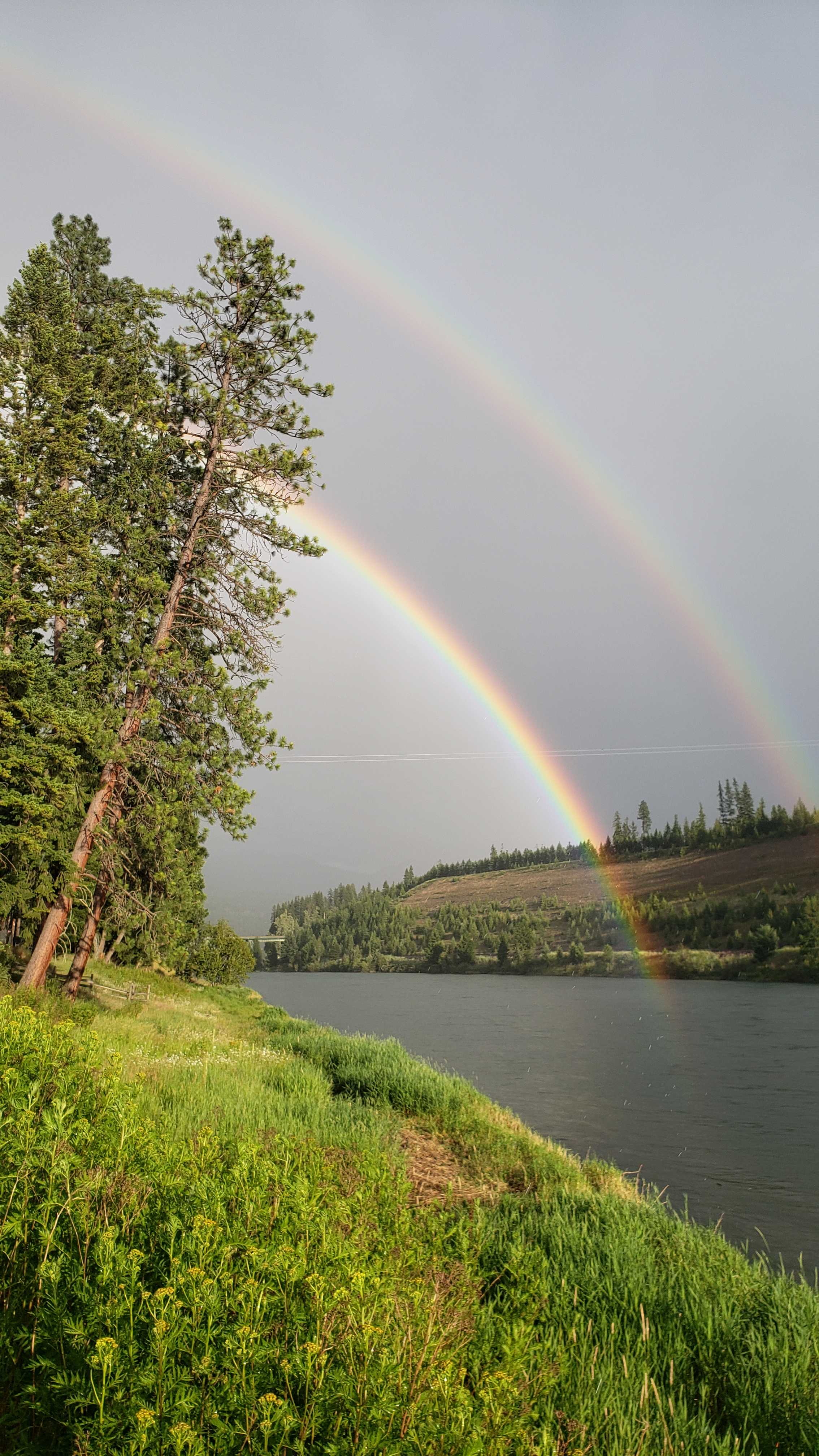 Dick's Blue Ribbon Fish Camp