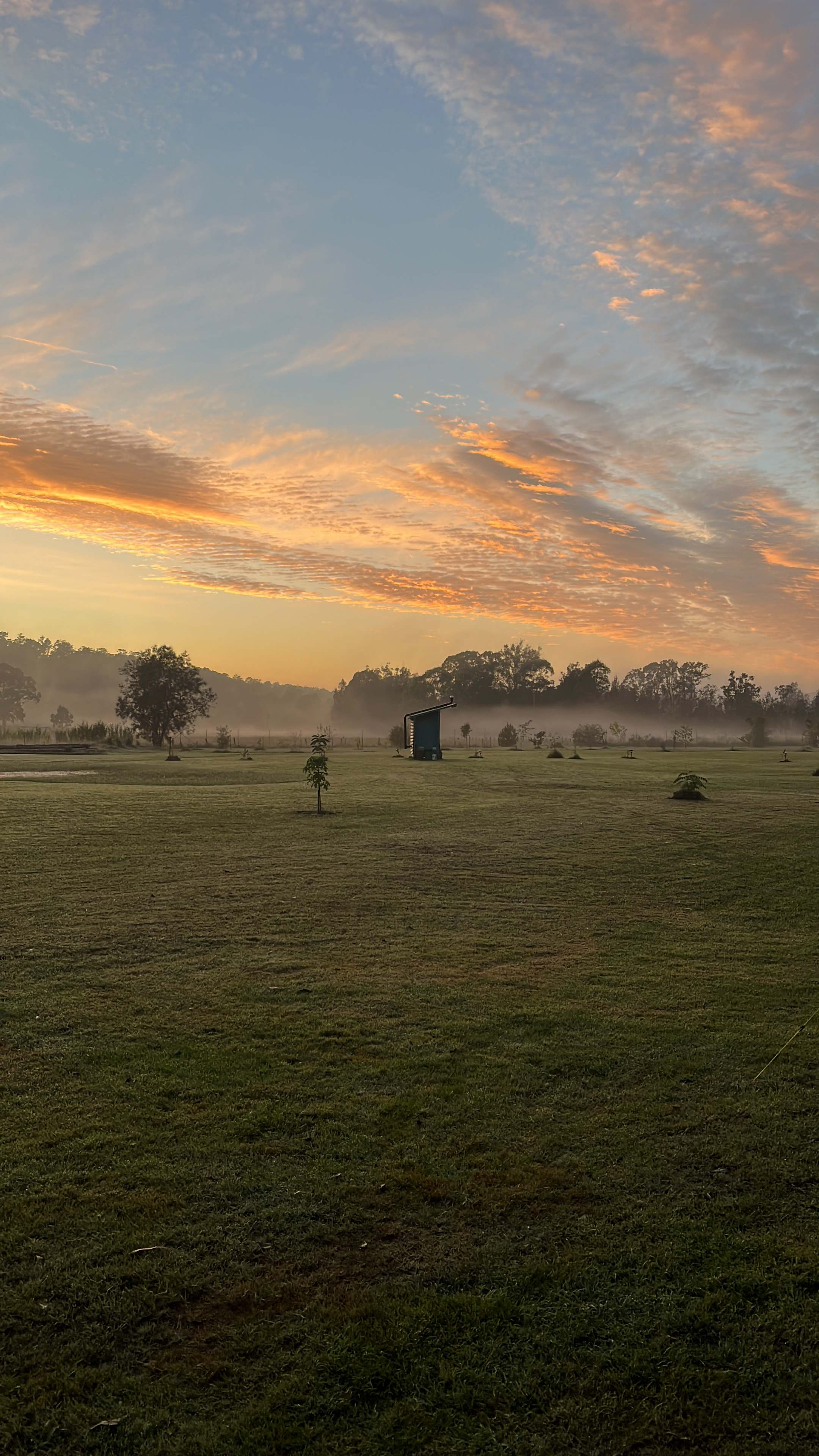 Mogo Creek Homestead