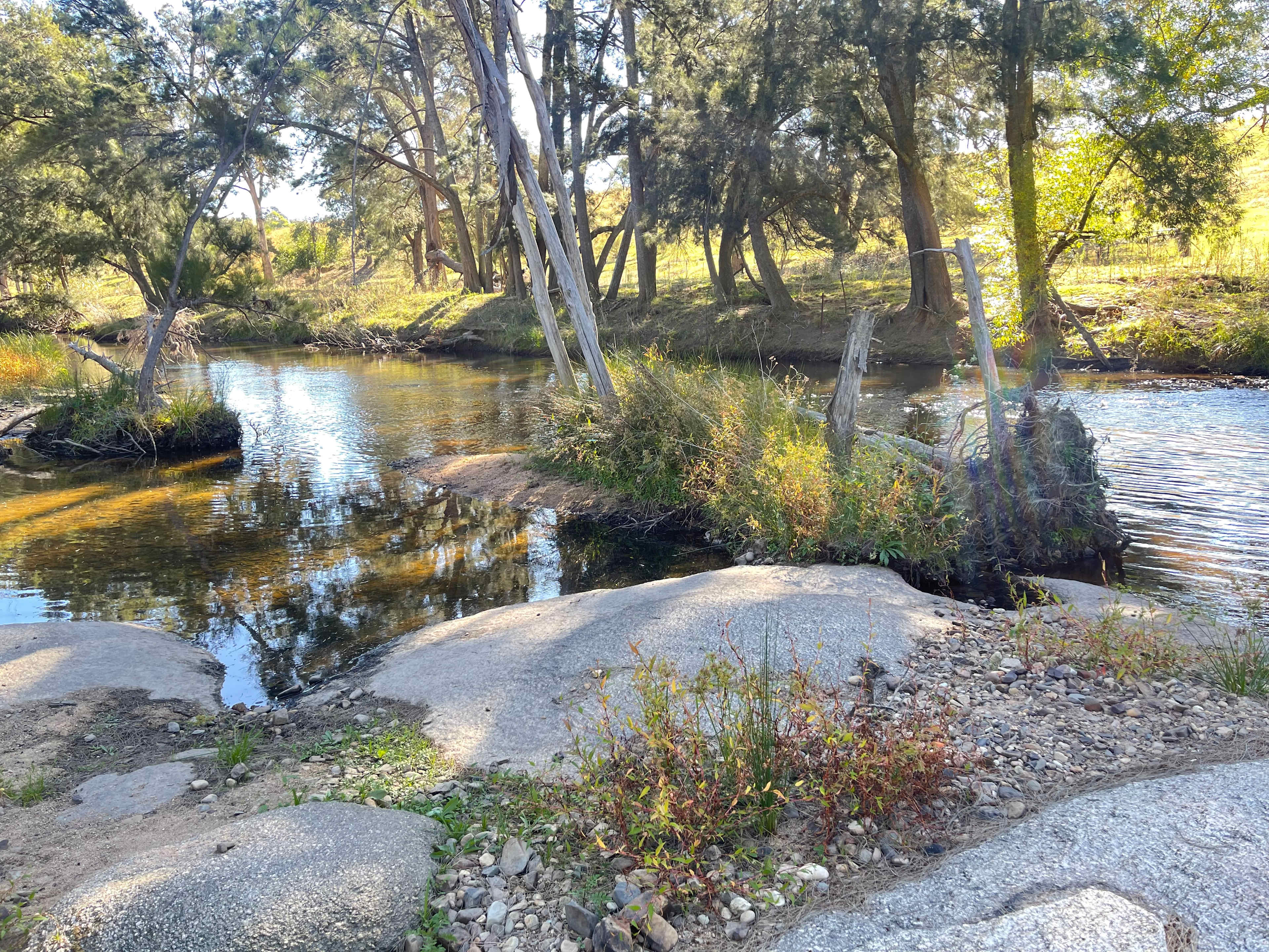 Riveroak Farm