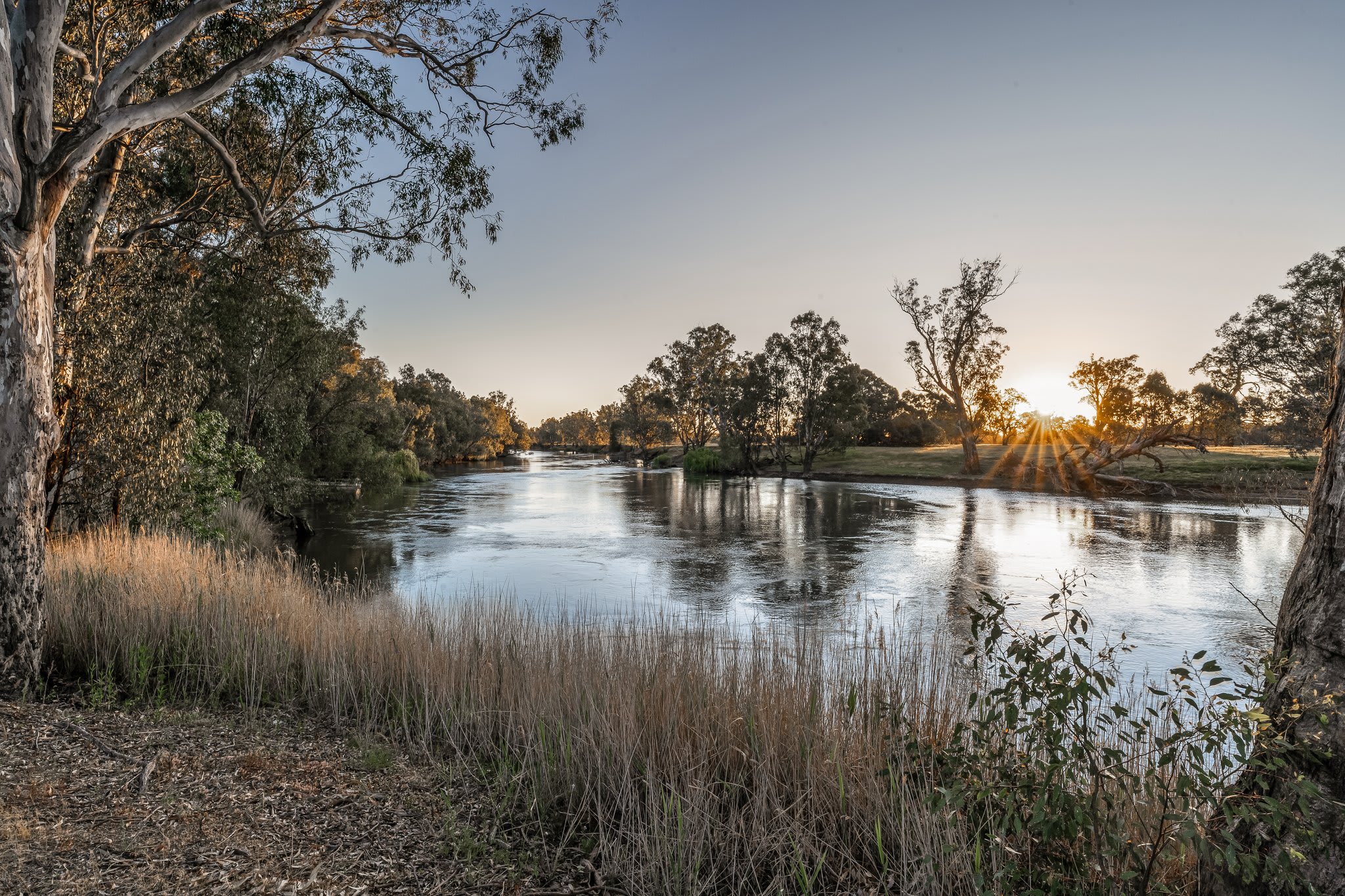 Palm Cove On The Murrumbidgee