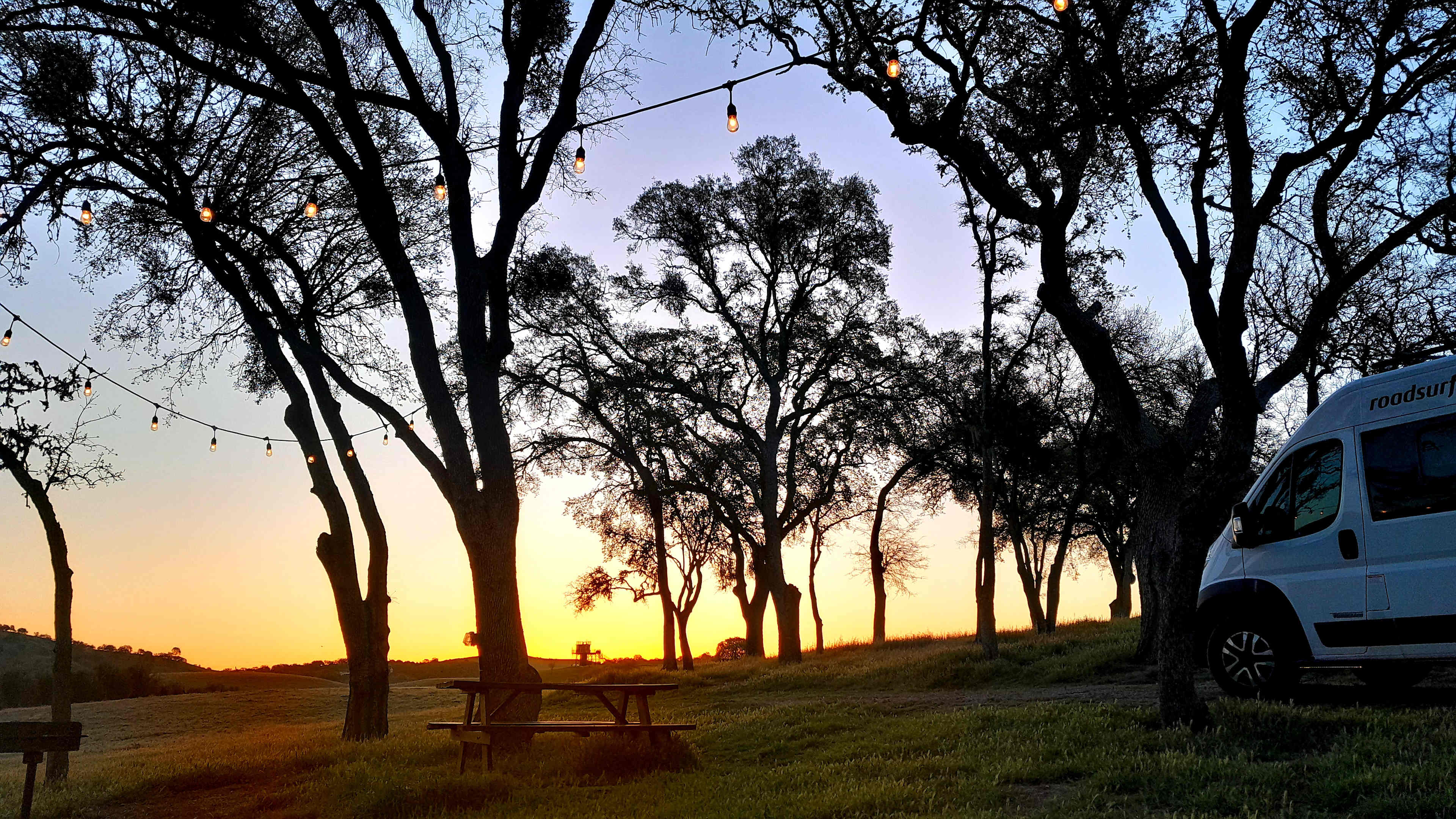 Early morning view