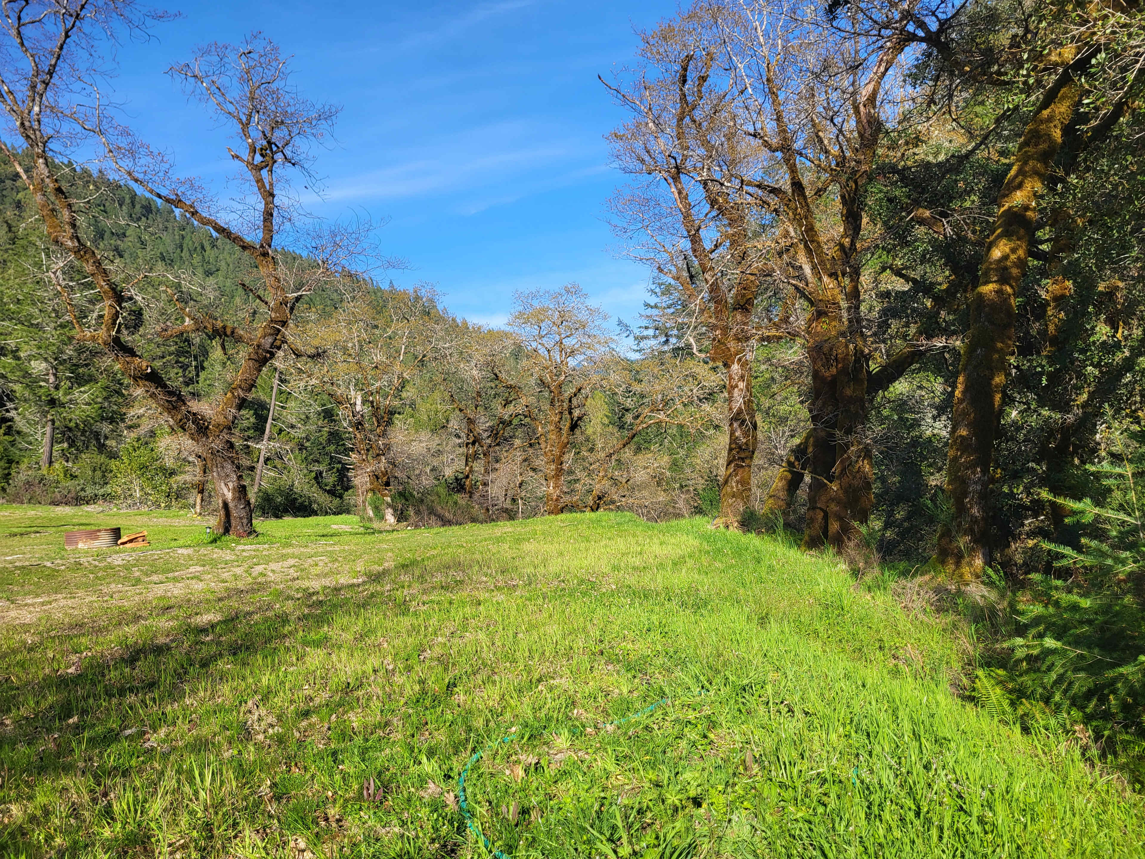 The Swimming Hole On Red Cap Creek