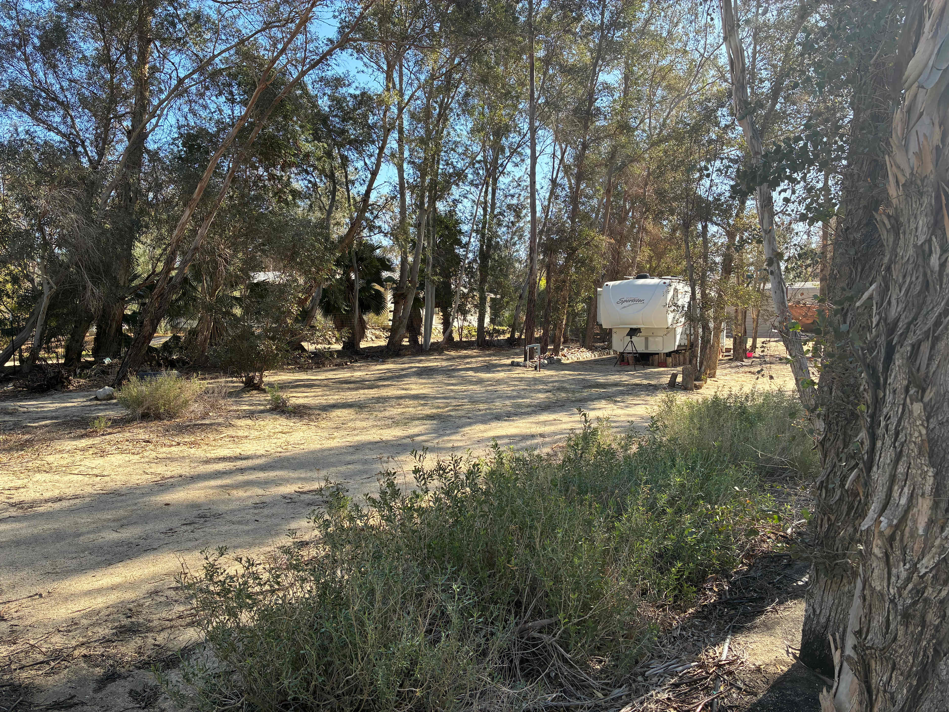 Eucalyptus Acres