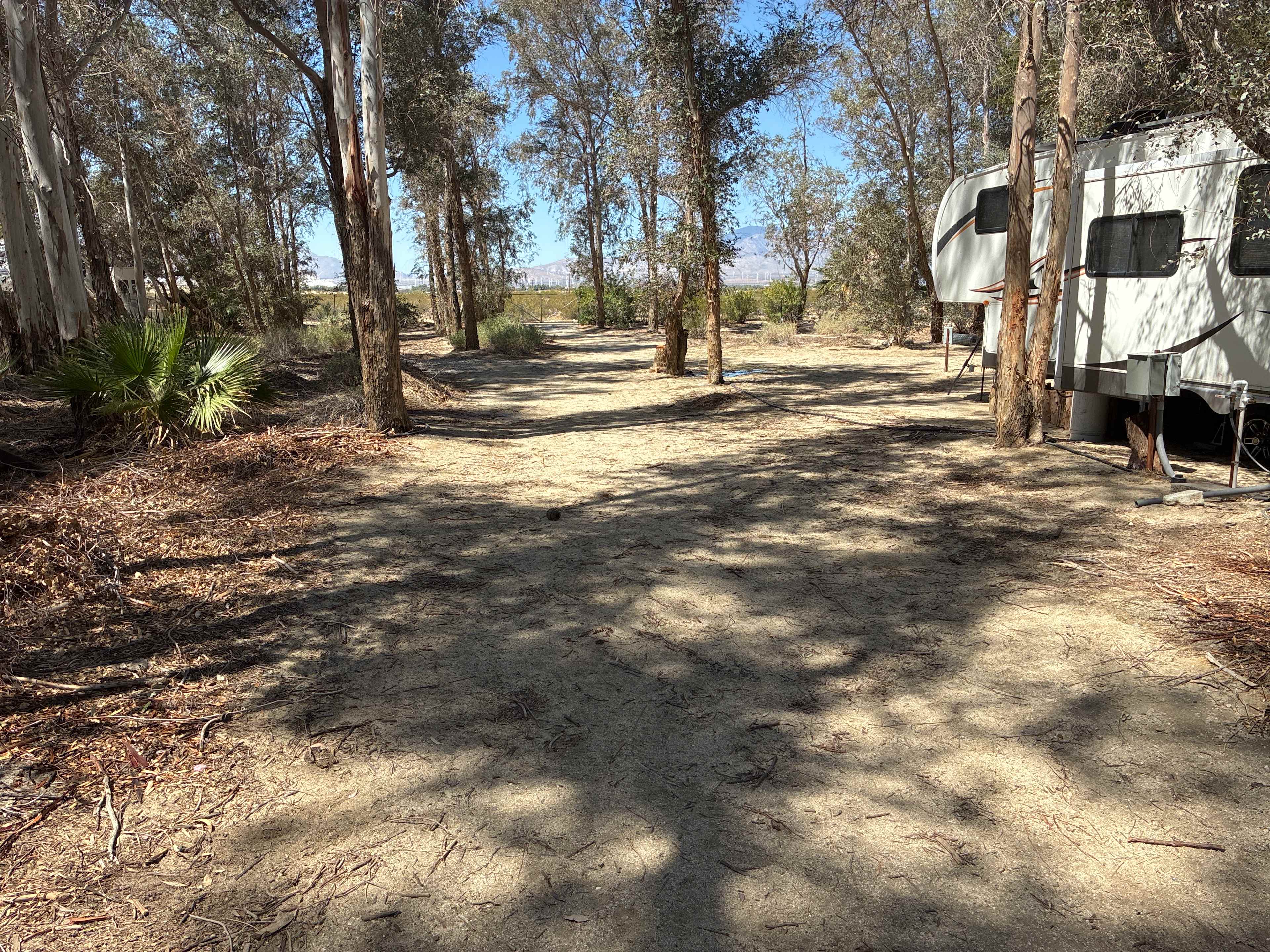 Eucalyptus Acres