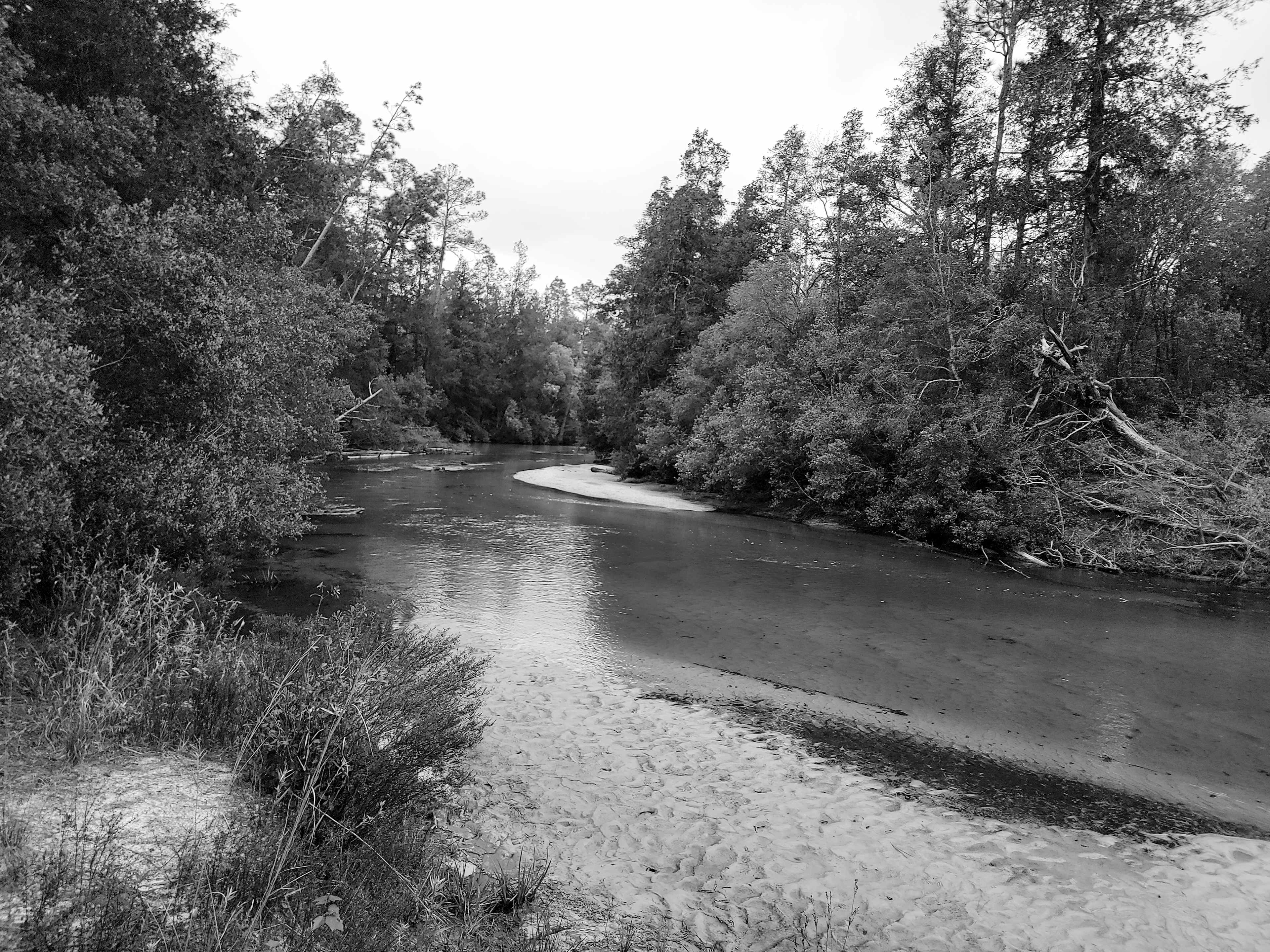 The Wandering Path
