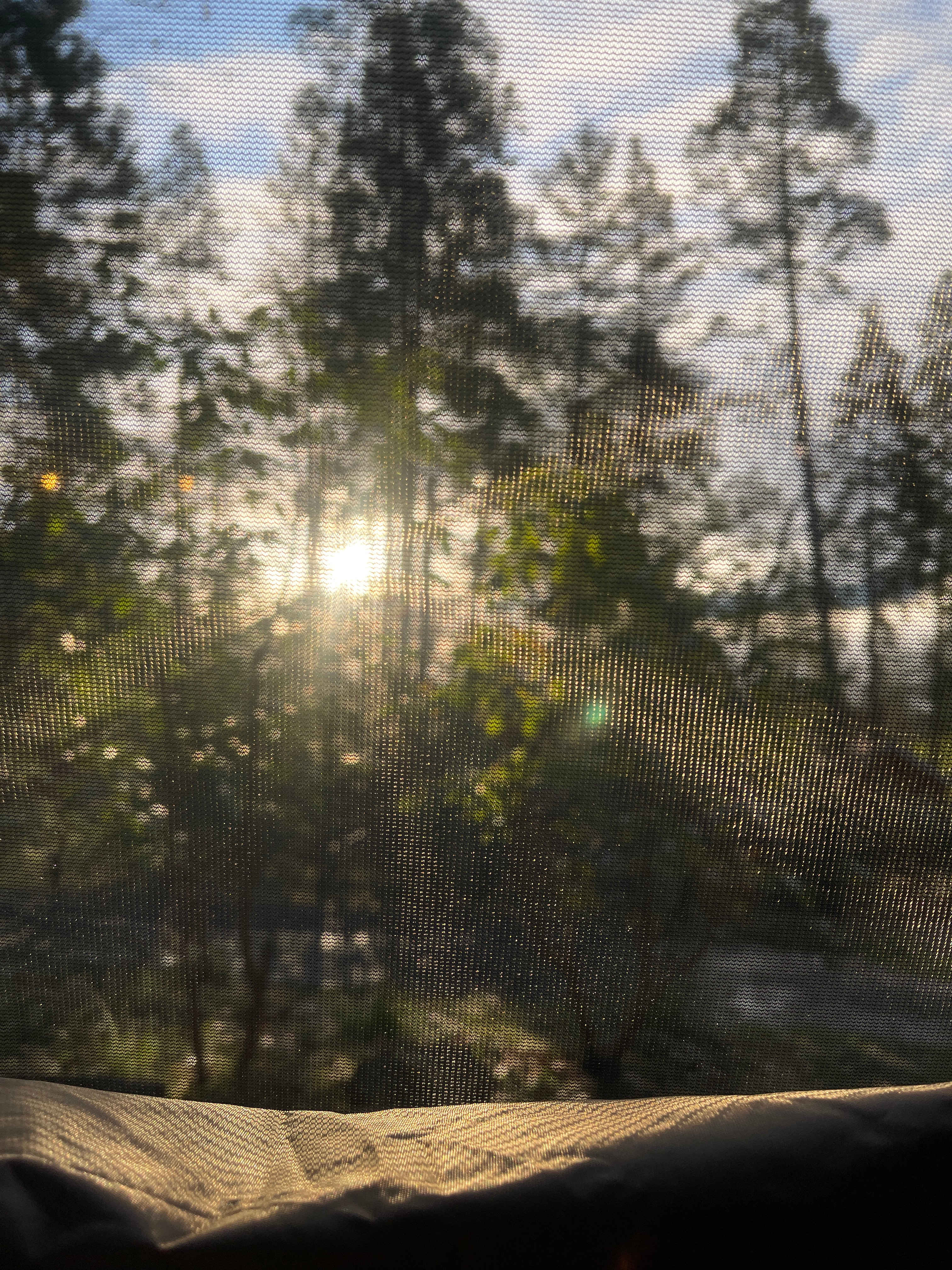 Morning view from tent 