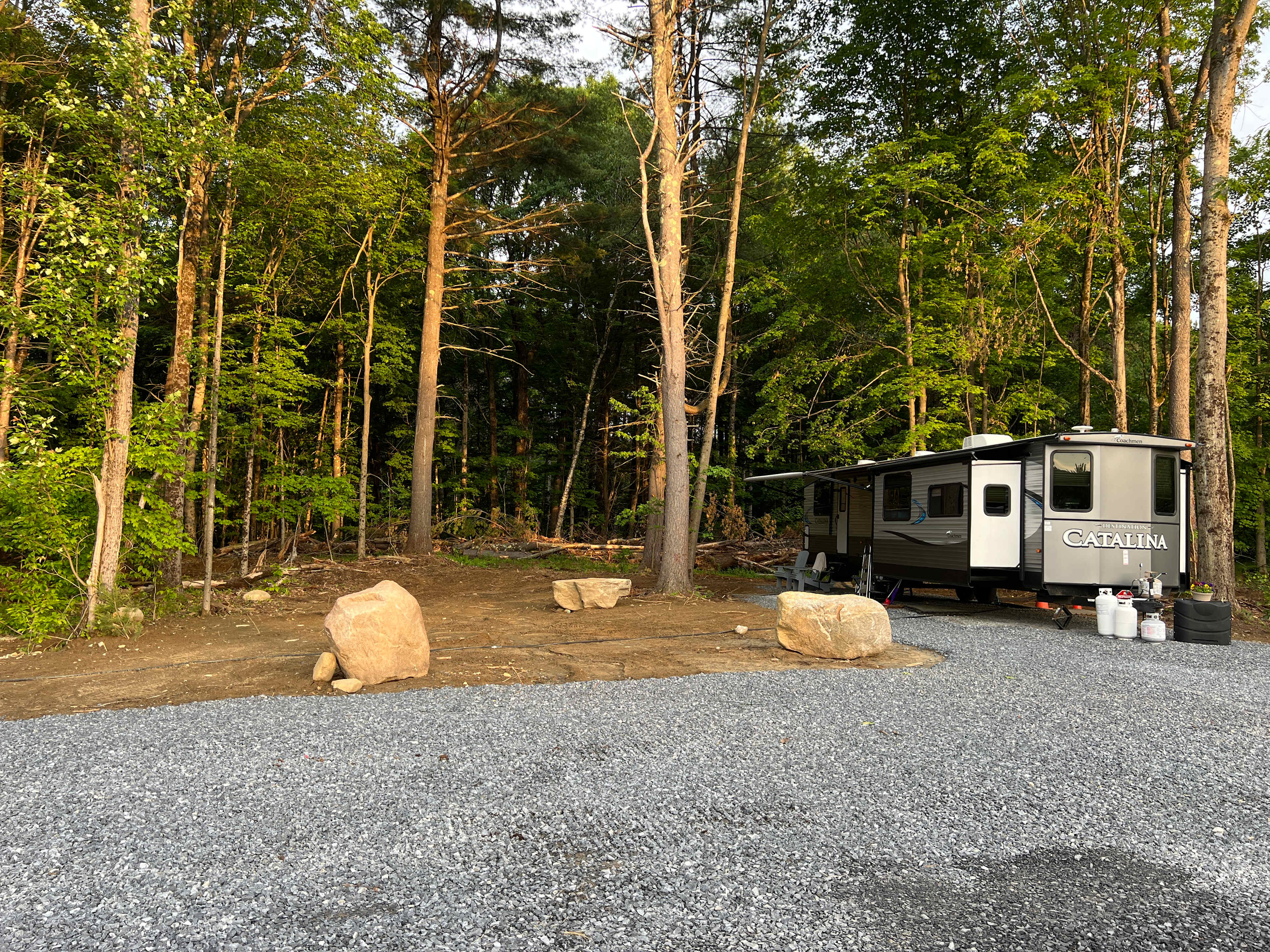 Picture of the site