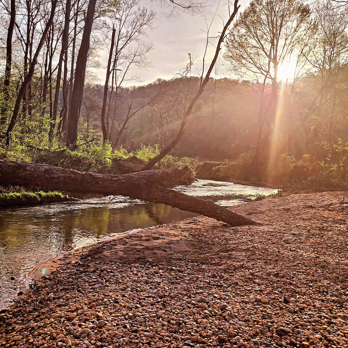 Broken Oak Riverside Getaway
