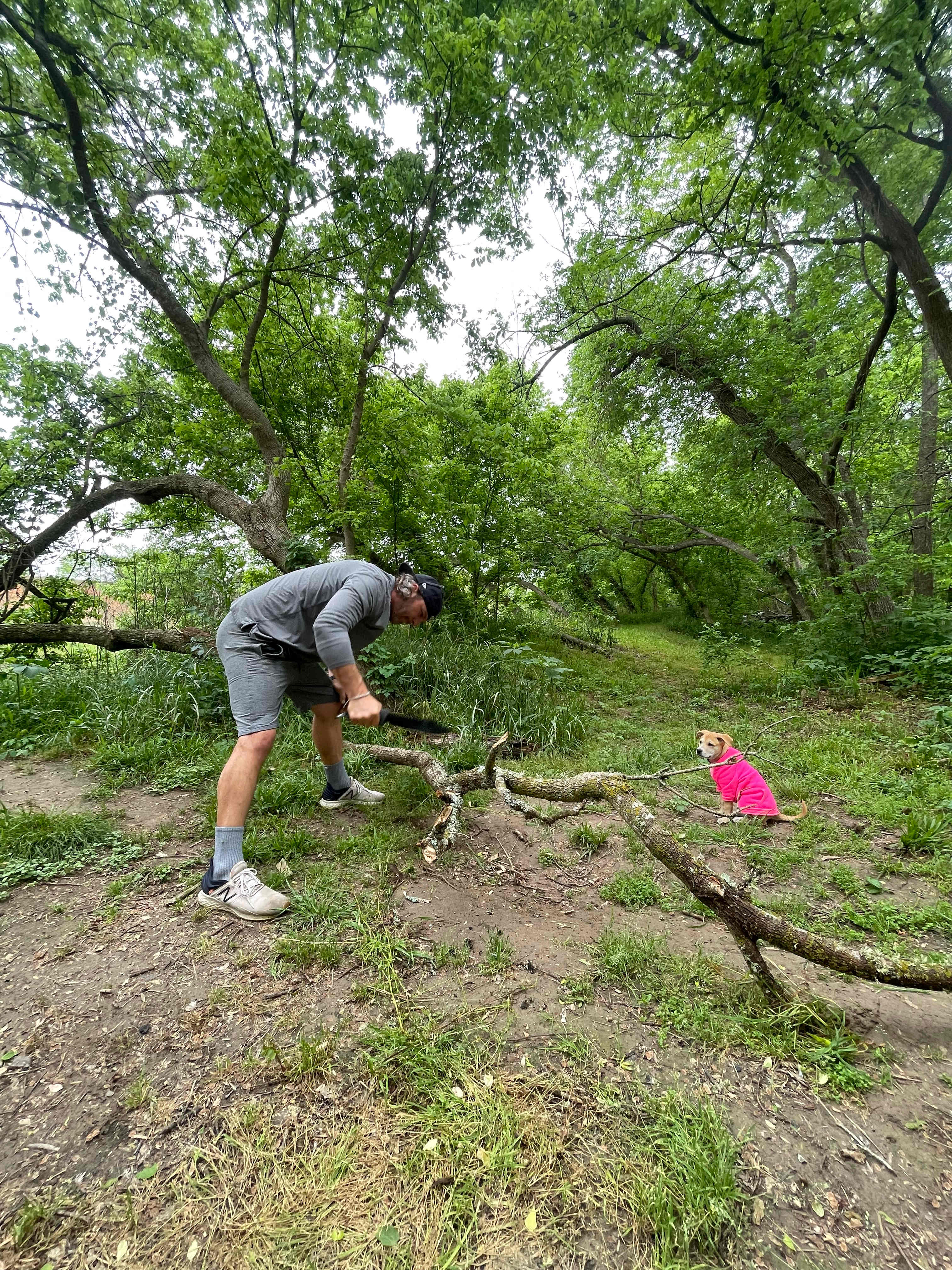 Picture of the site