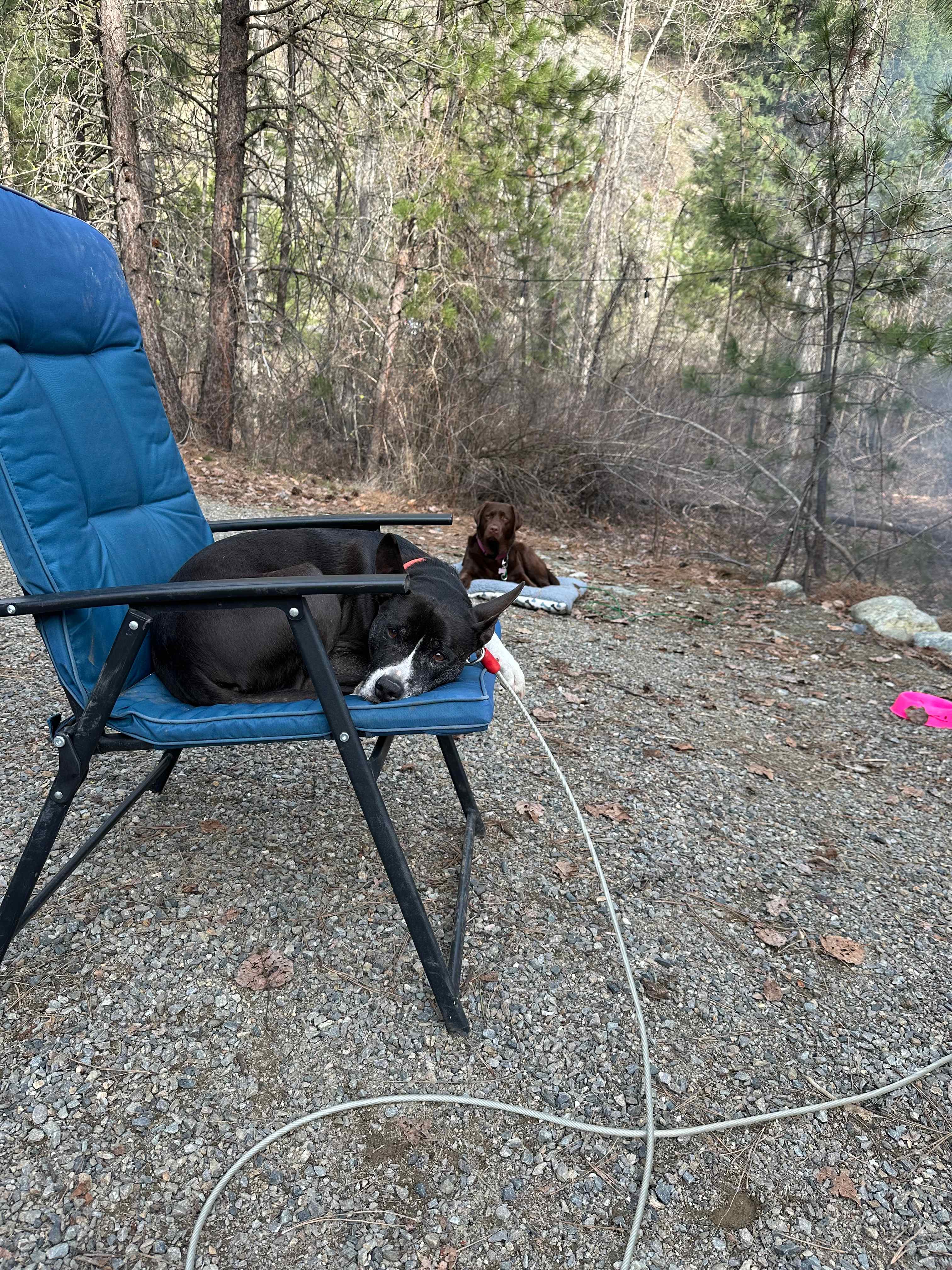 Flussfelsen Campground