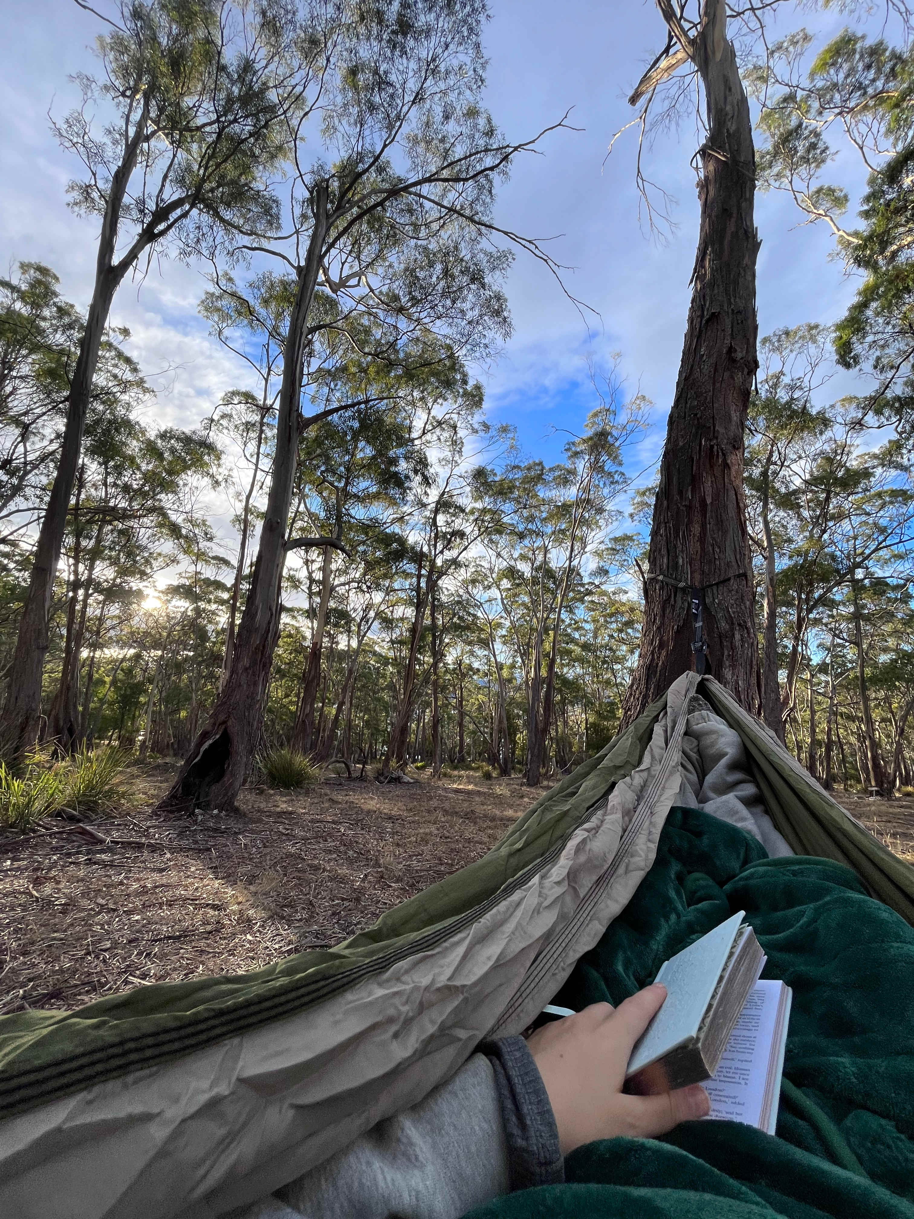 Quoll Hideaway - Bruny Island Bush & Beach camping