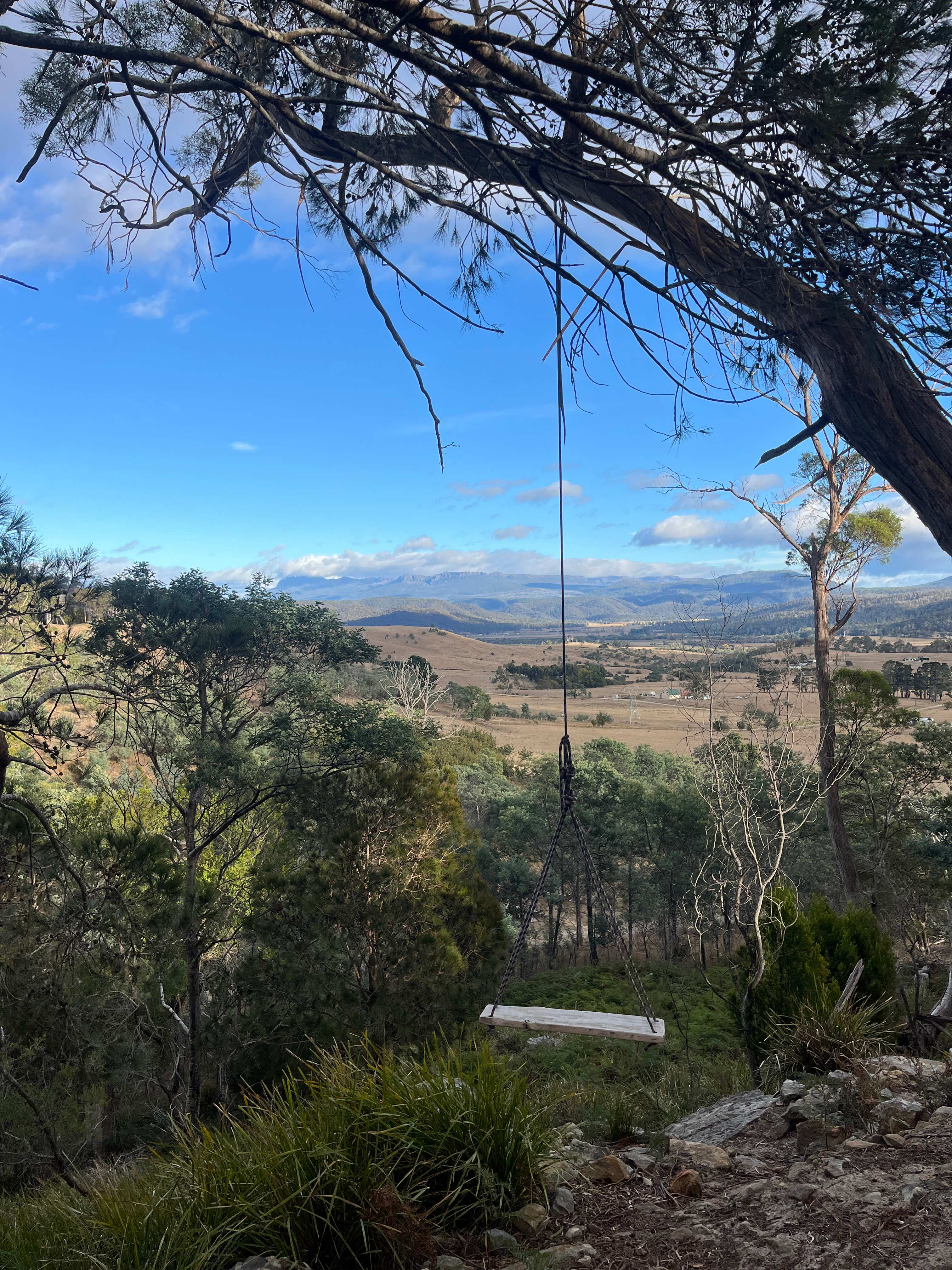 Valley's Nest