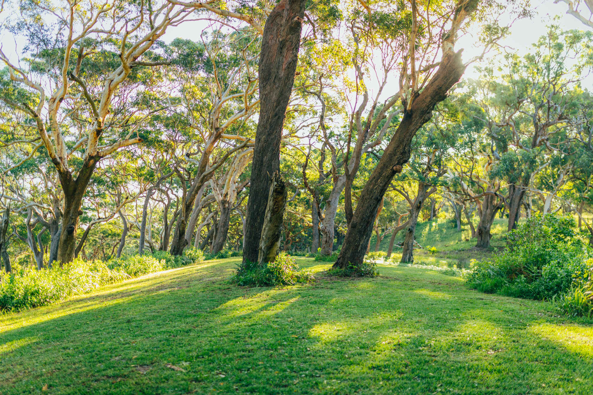 another site located on top of the hill