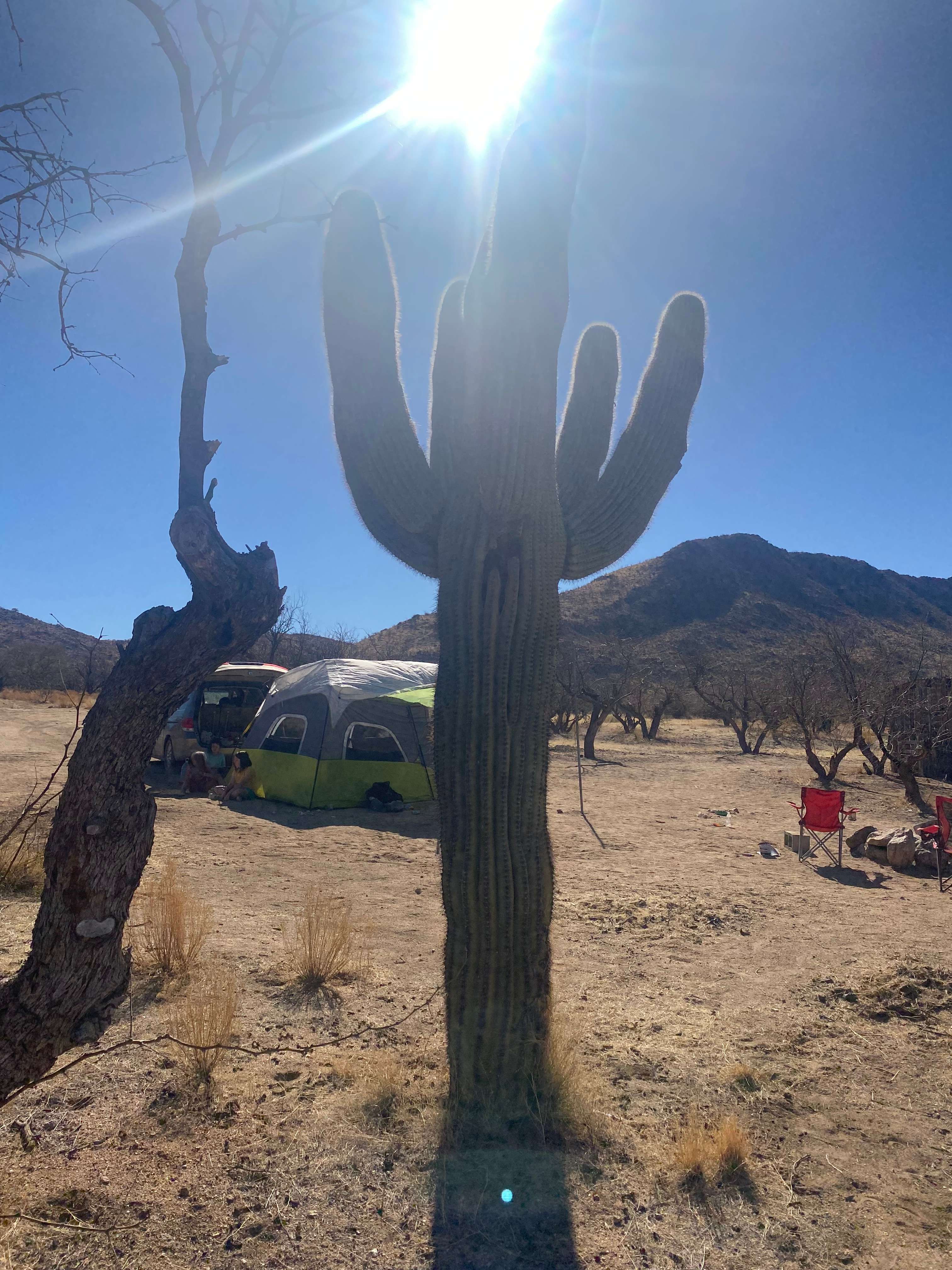 Epic Private 300 Acre Saguaro Park