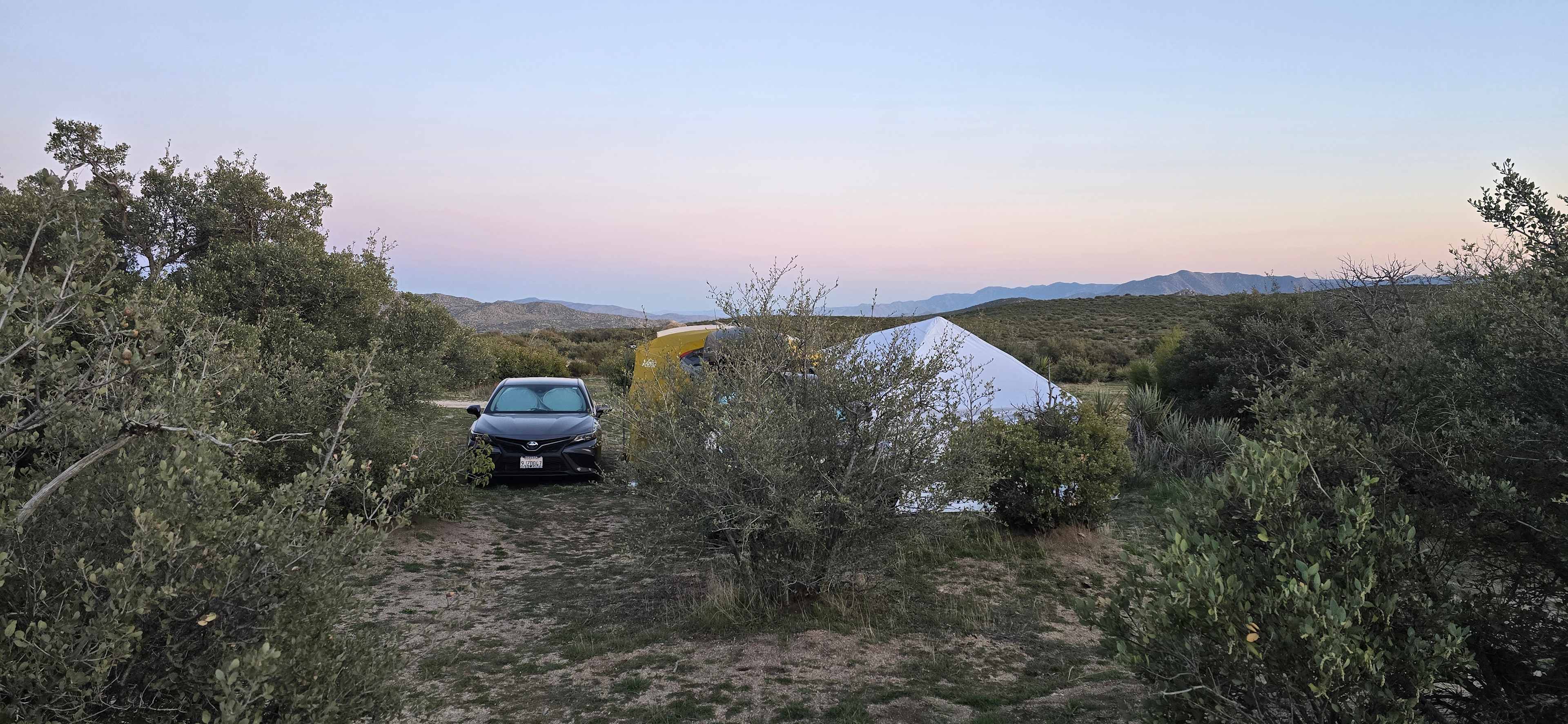 We loved our campsite