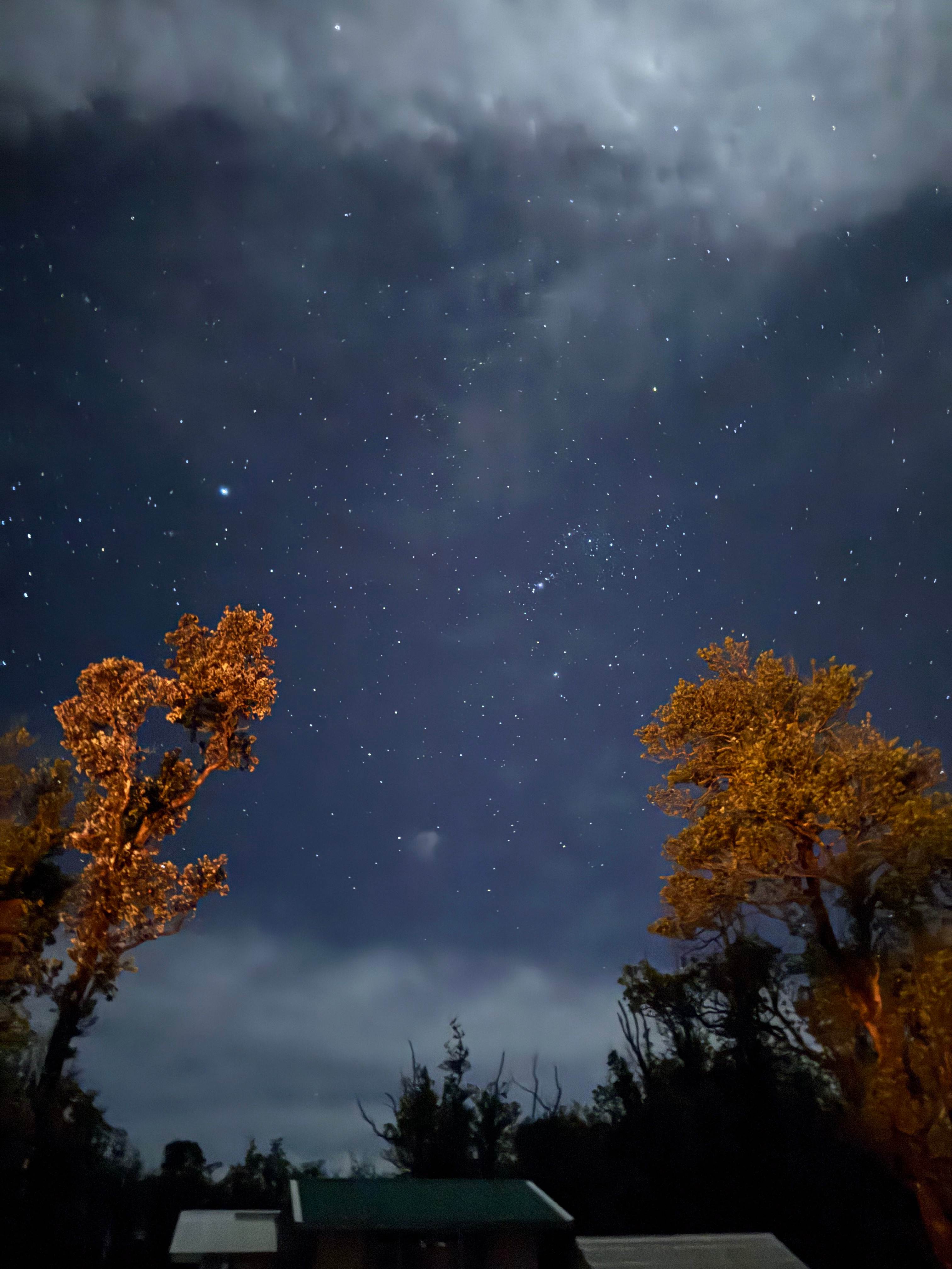 The Orchestra sounds at night are also beautiful 
