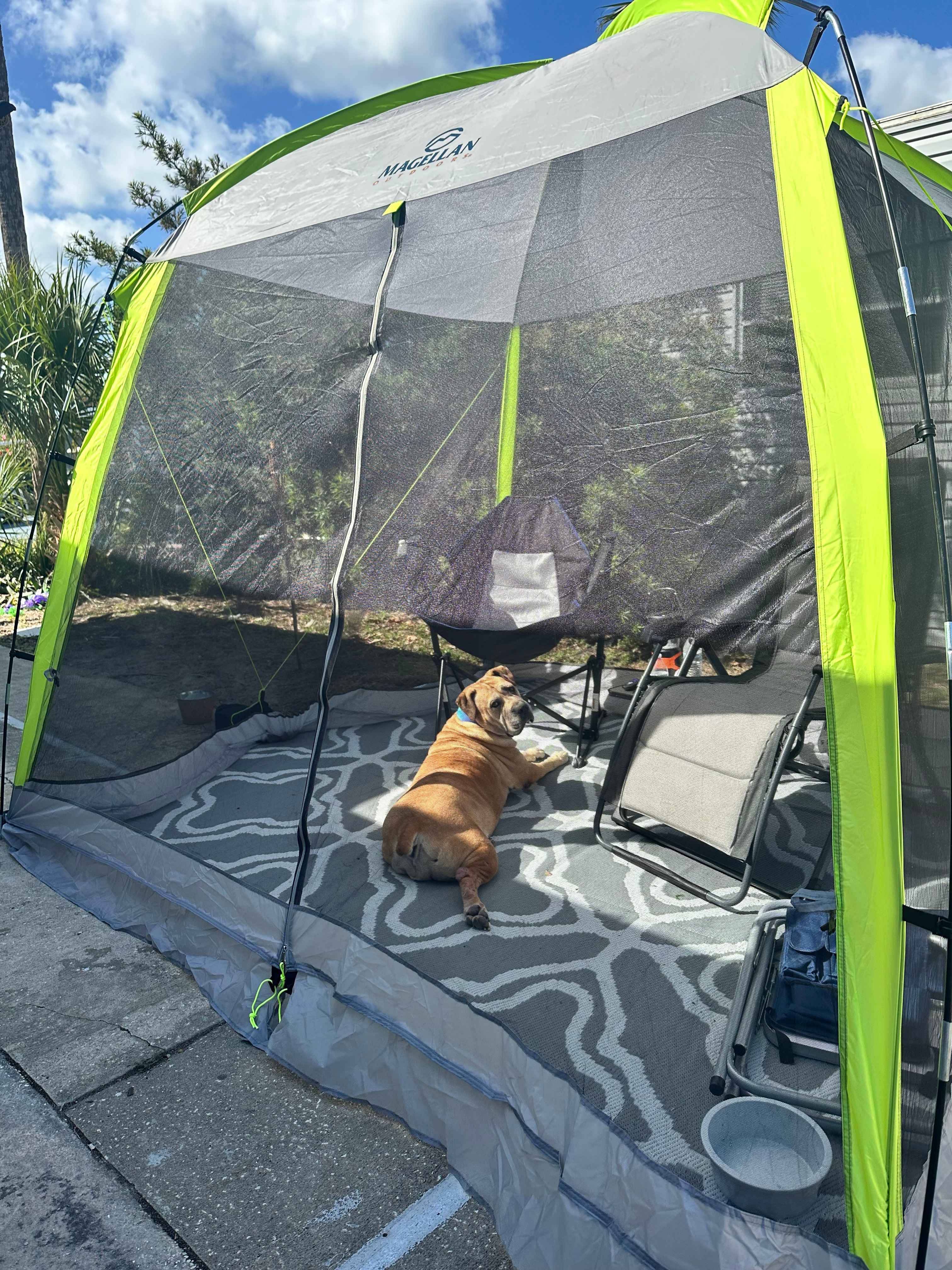 RVing Or Trailer At Outdoor Resorts