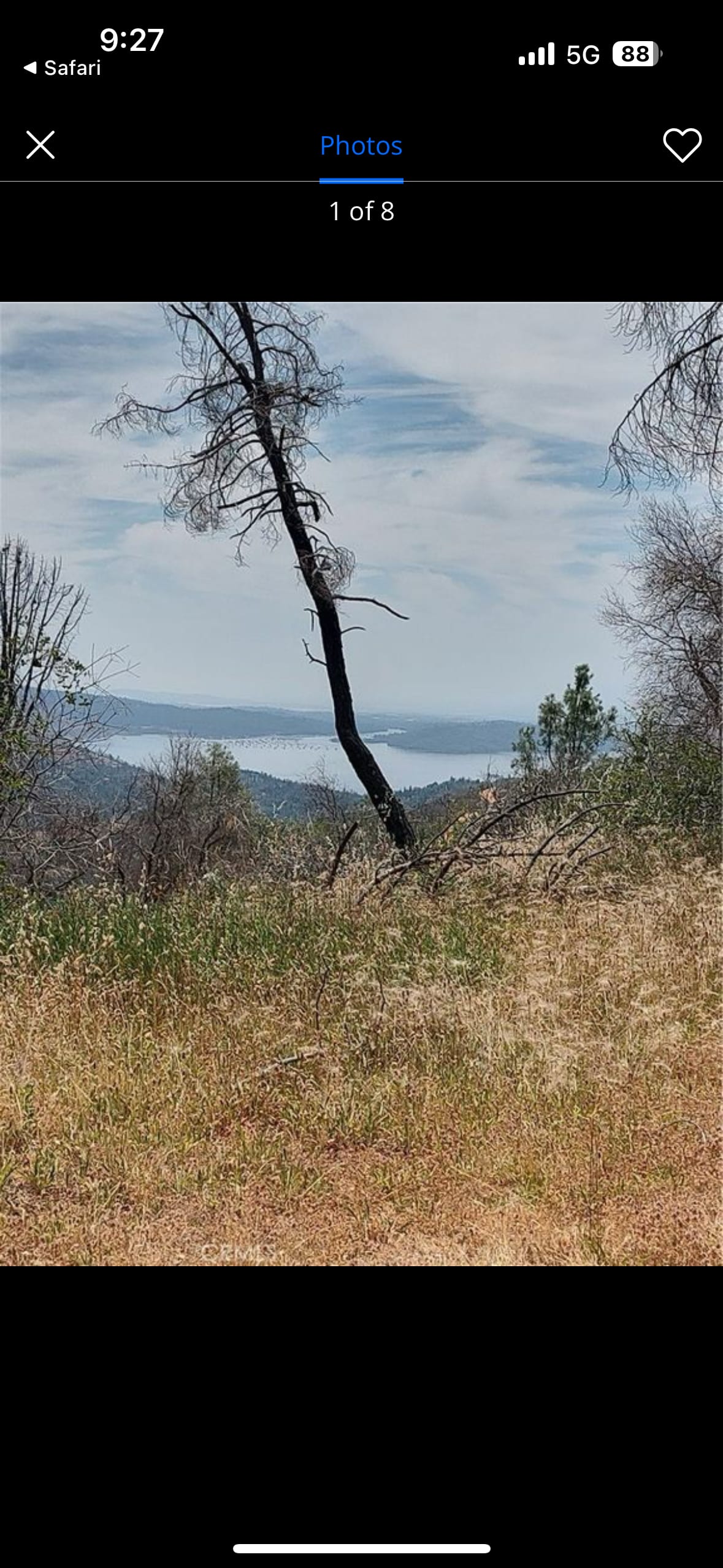 Black Bear RV Camp & Park