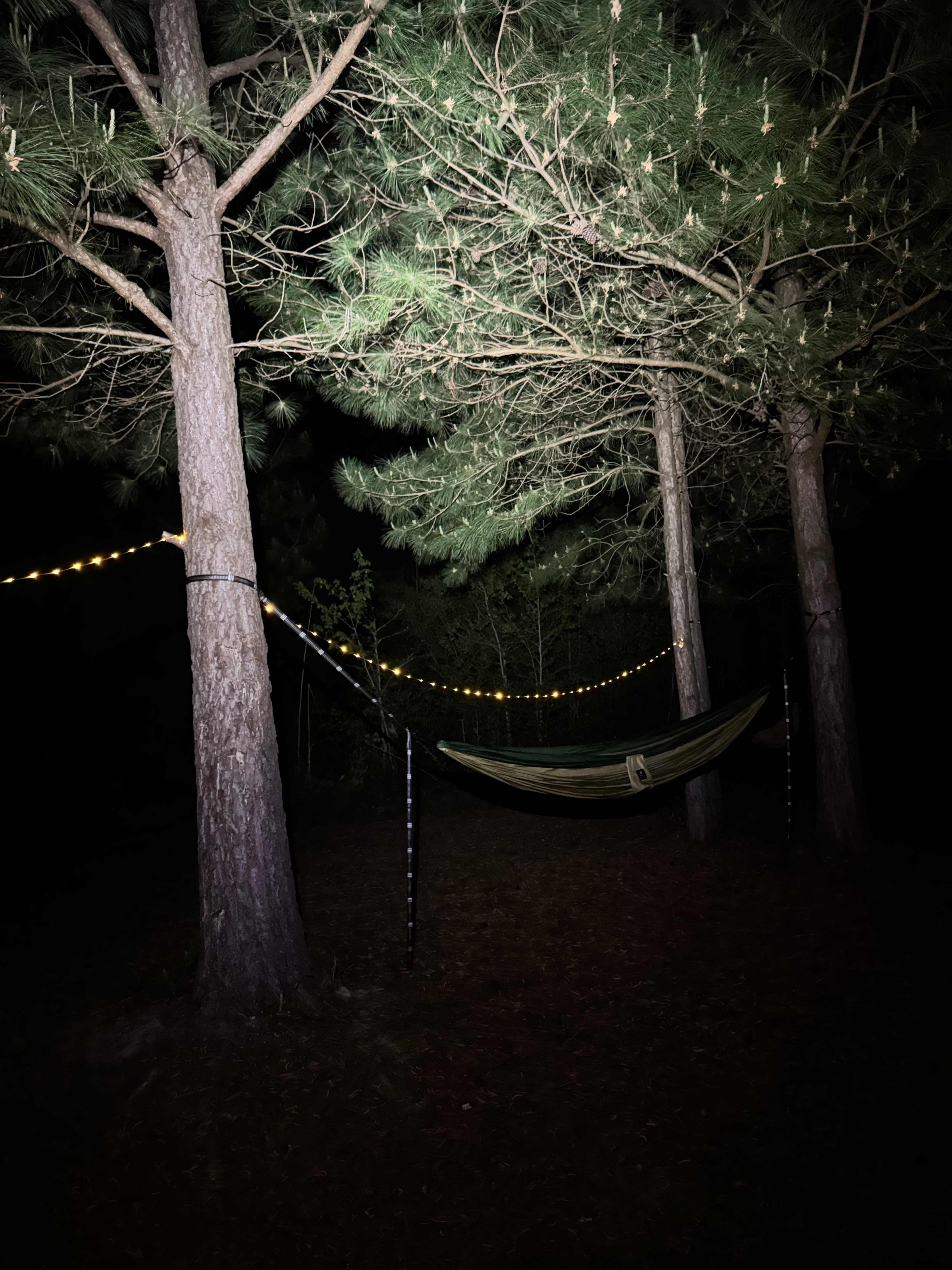 JCO Campground at Lee Baysden Pond