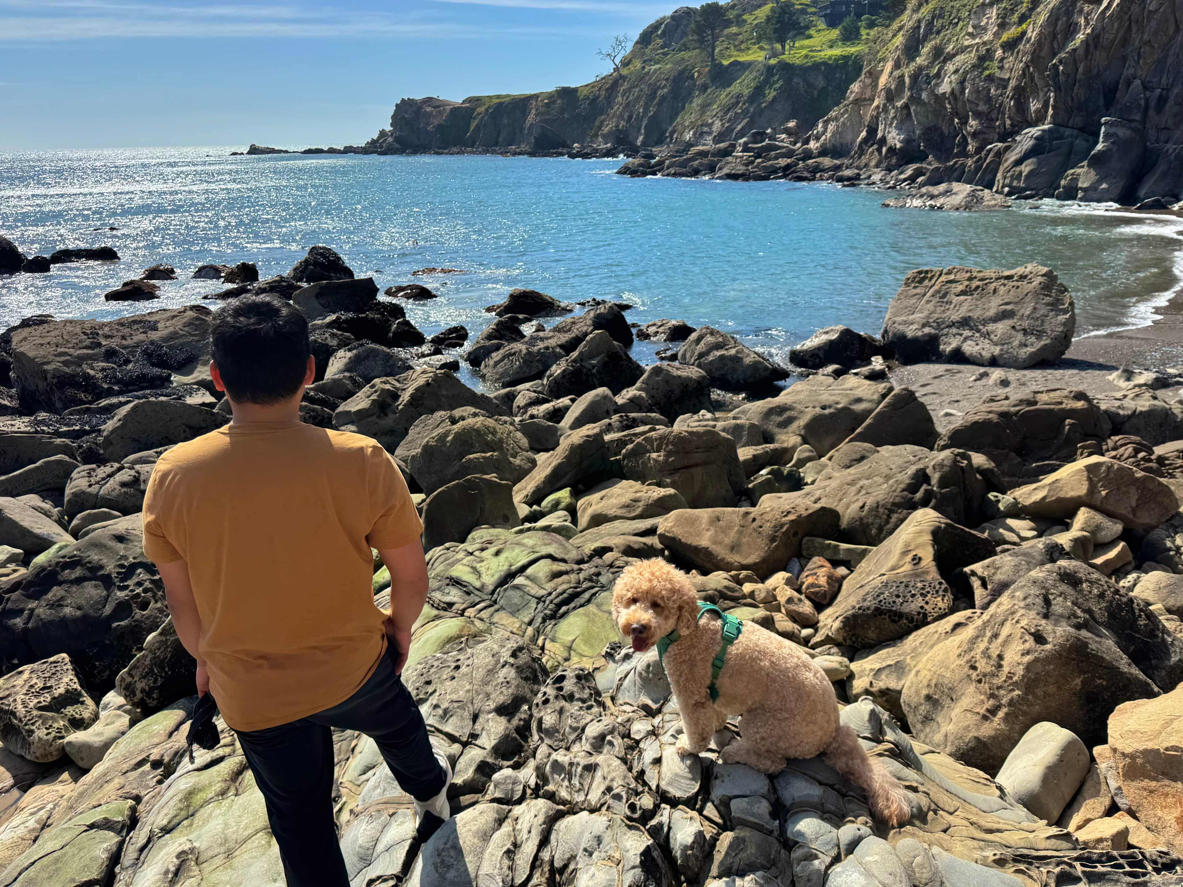 Timber Cove Campground