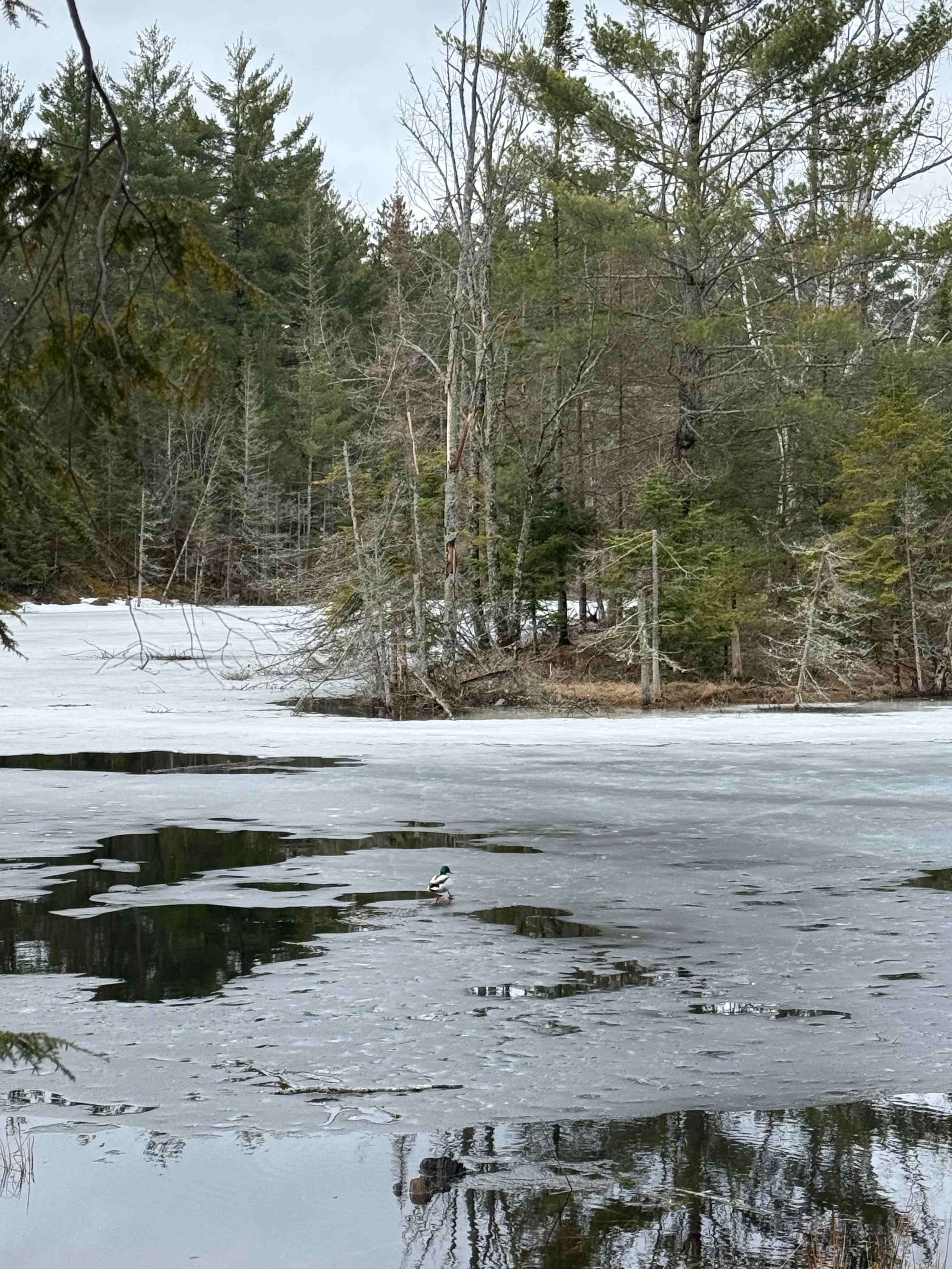 Hemlock Point Campground