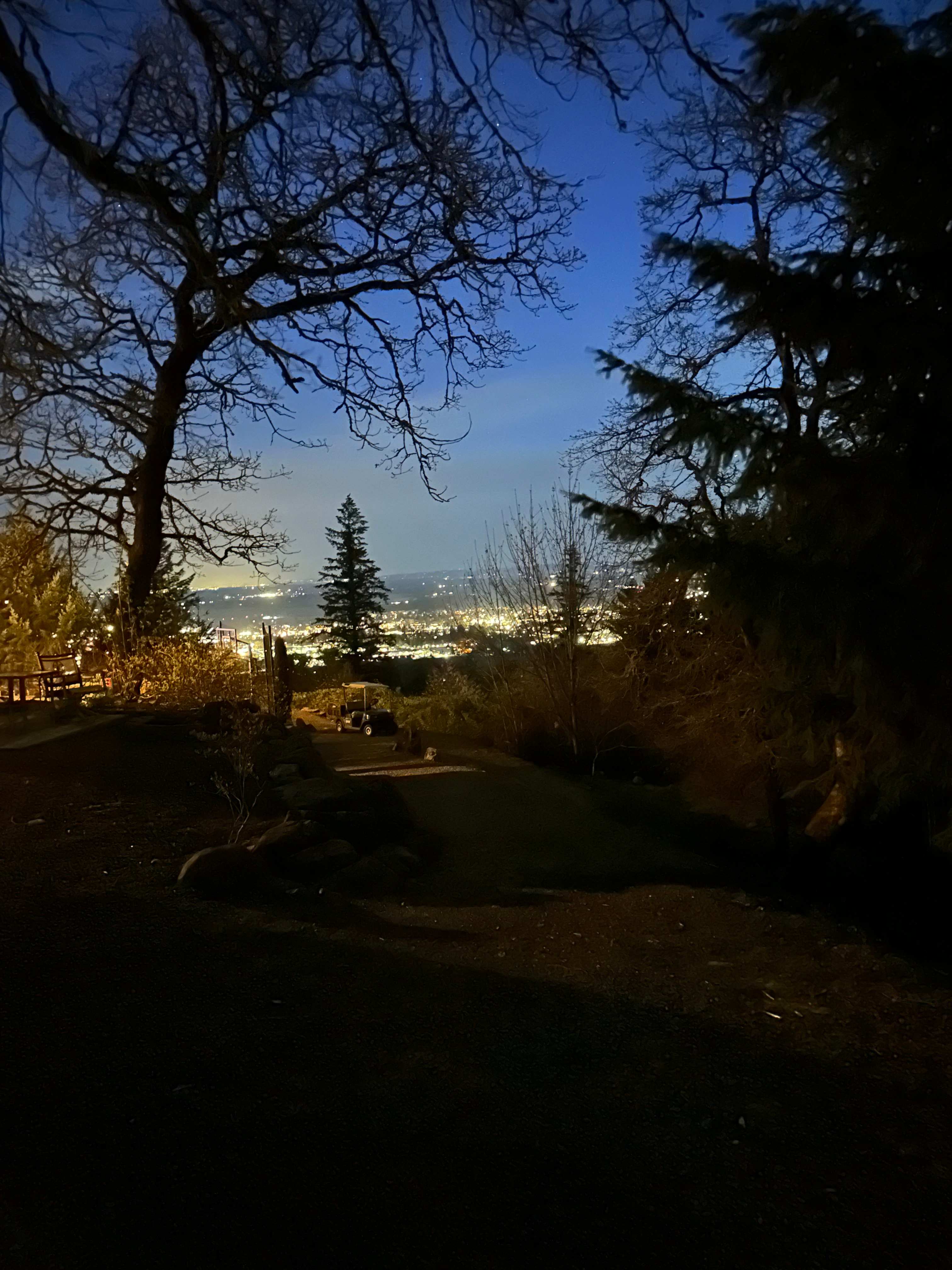 City lights