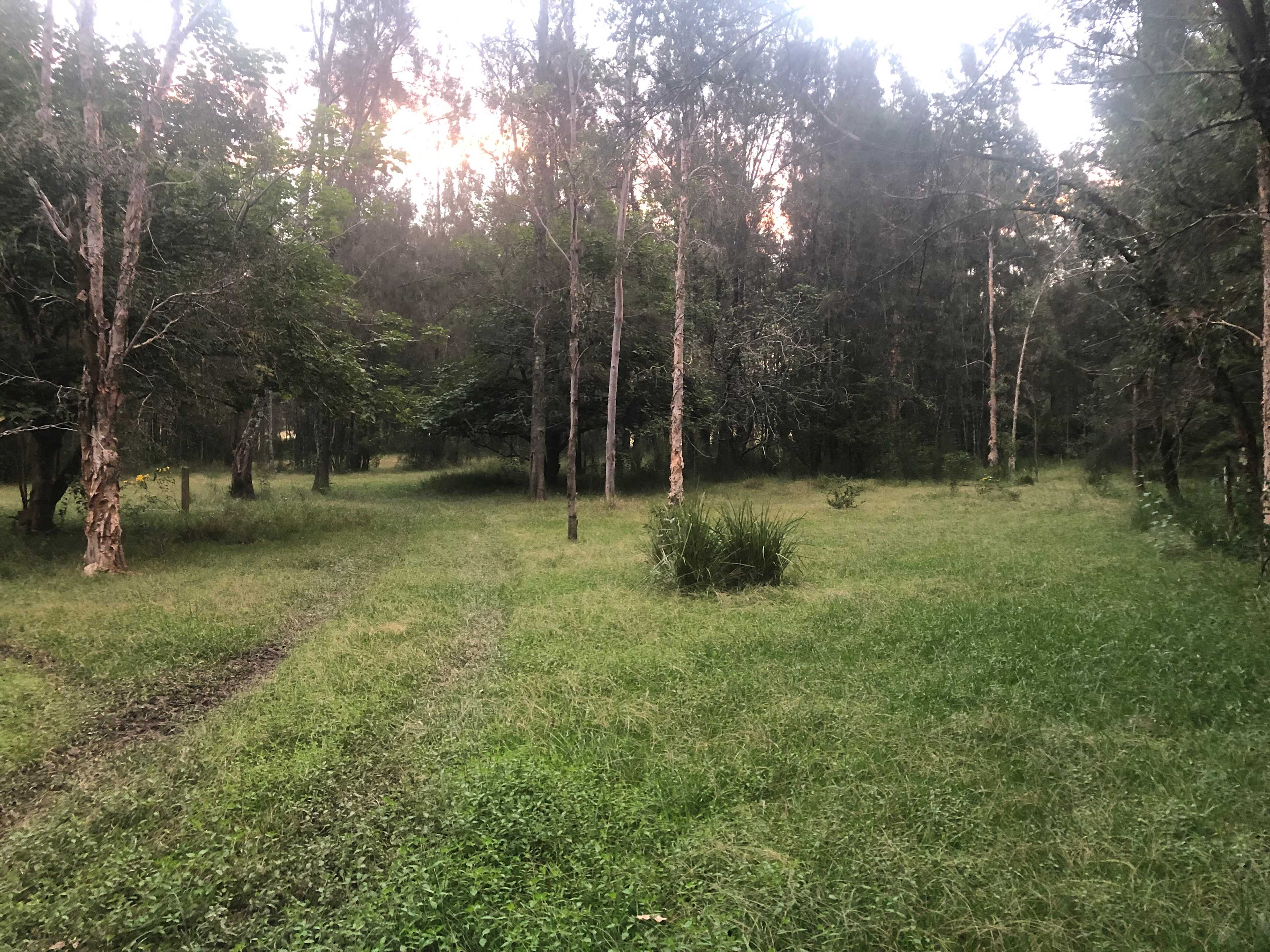 Ned's Retreat