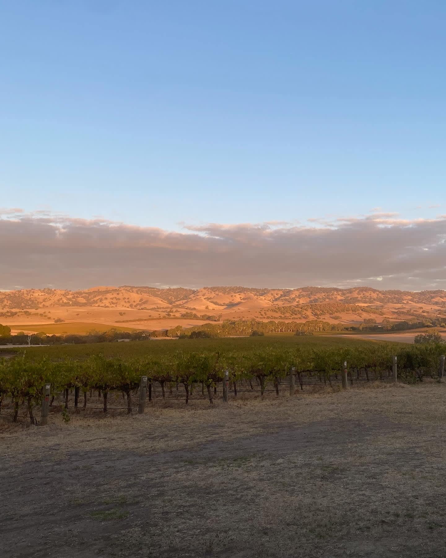 God’s Hill Wines & Ennia Cucina