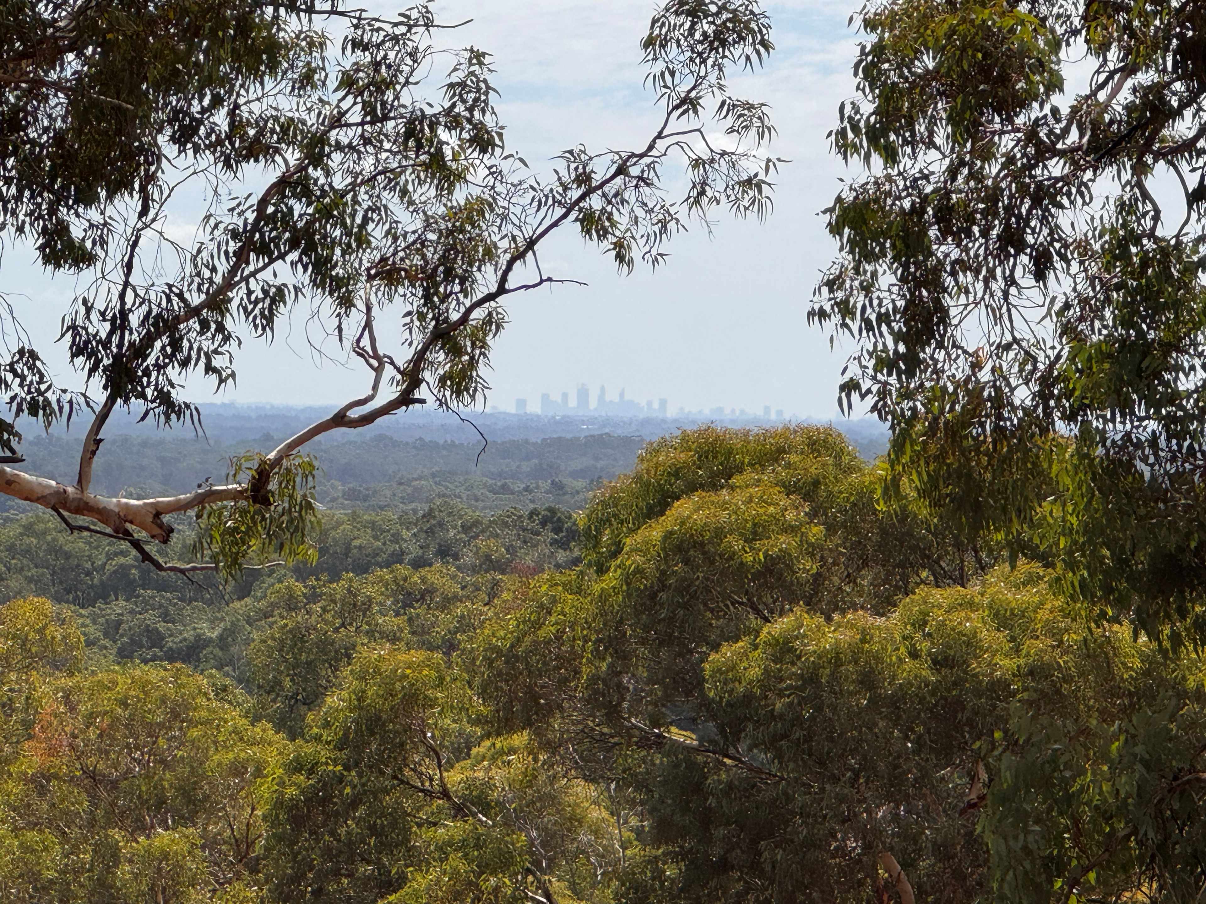 Perth City Vista - City Lights Campsite
